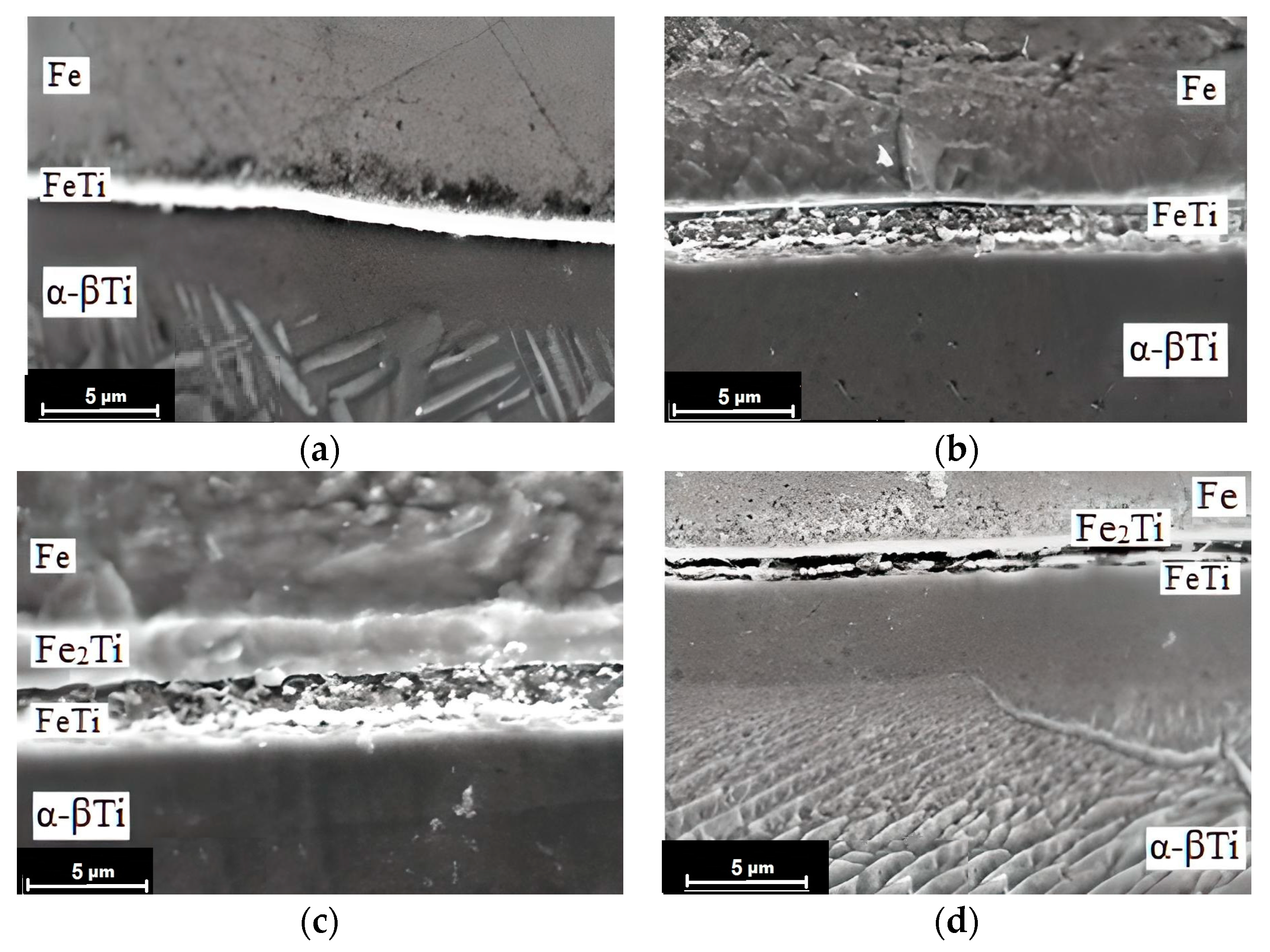 Metals 13 01338 g009