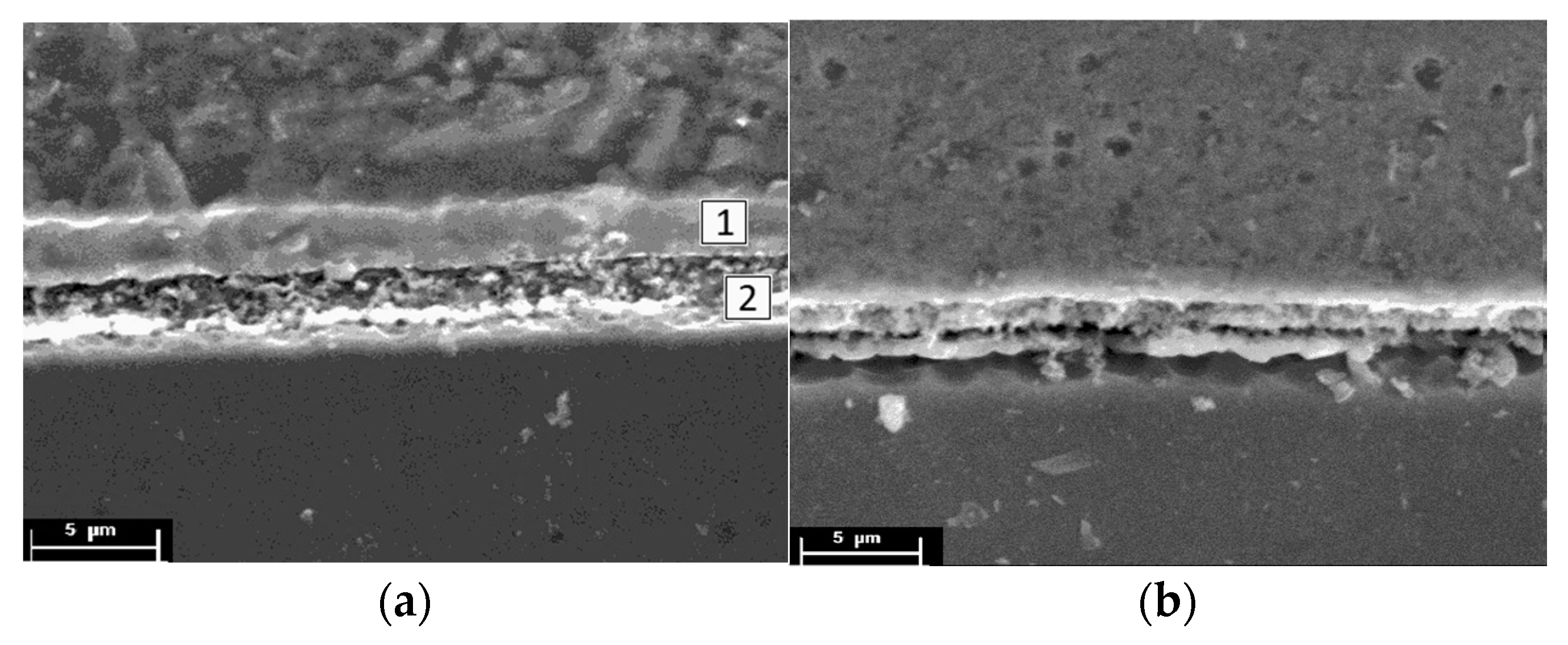 Metals 13 01338 g013