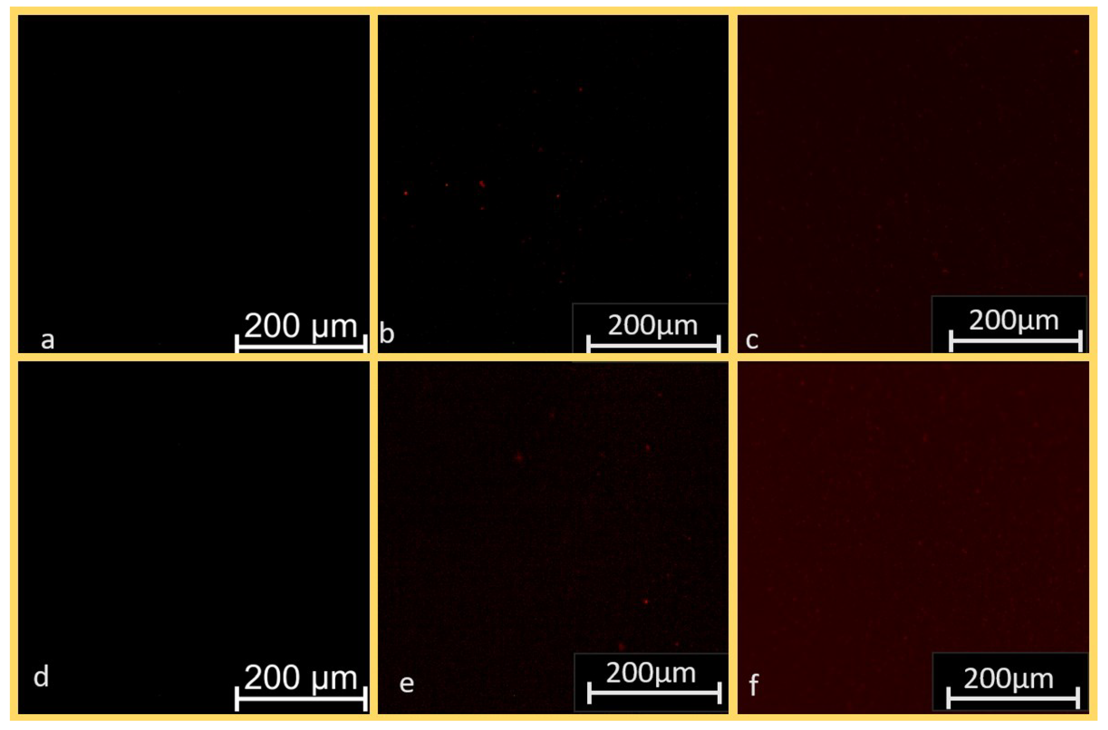 Metals 13 01347 g002