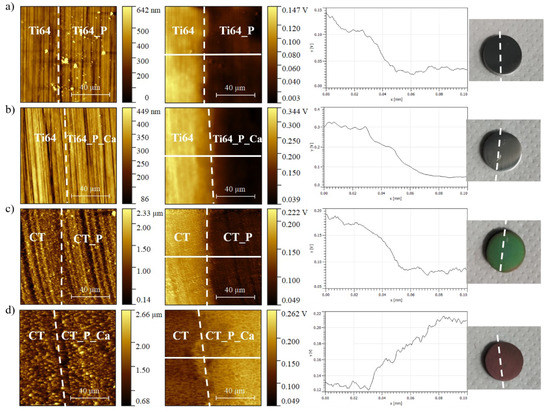 Functionalization of Ti6Al4V Alloy with Polyphenols: The Role of the ...