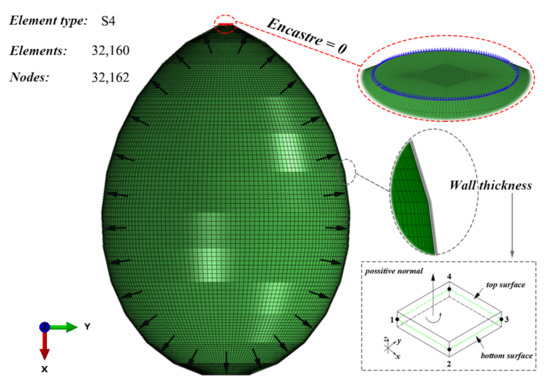 インパクトユー Internal Hydroforming of Large Stainless-Steel Eggshells from