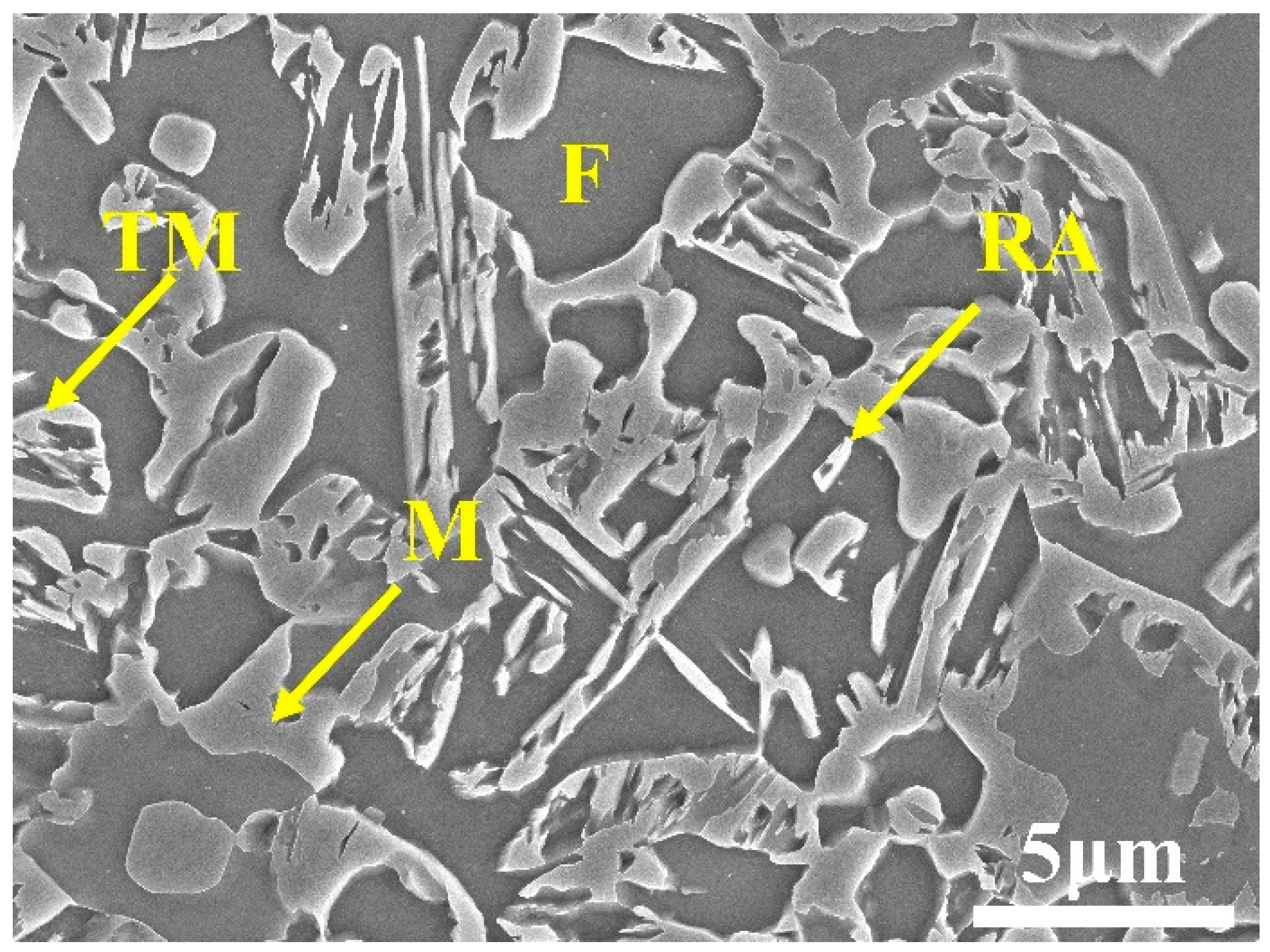 Metals 13 01363 g001 550