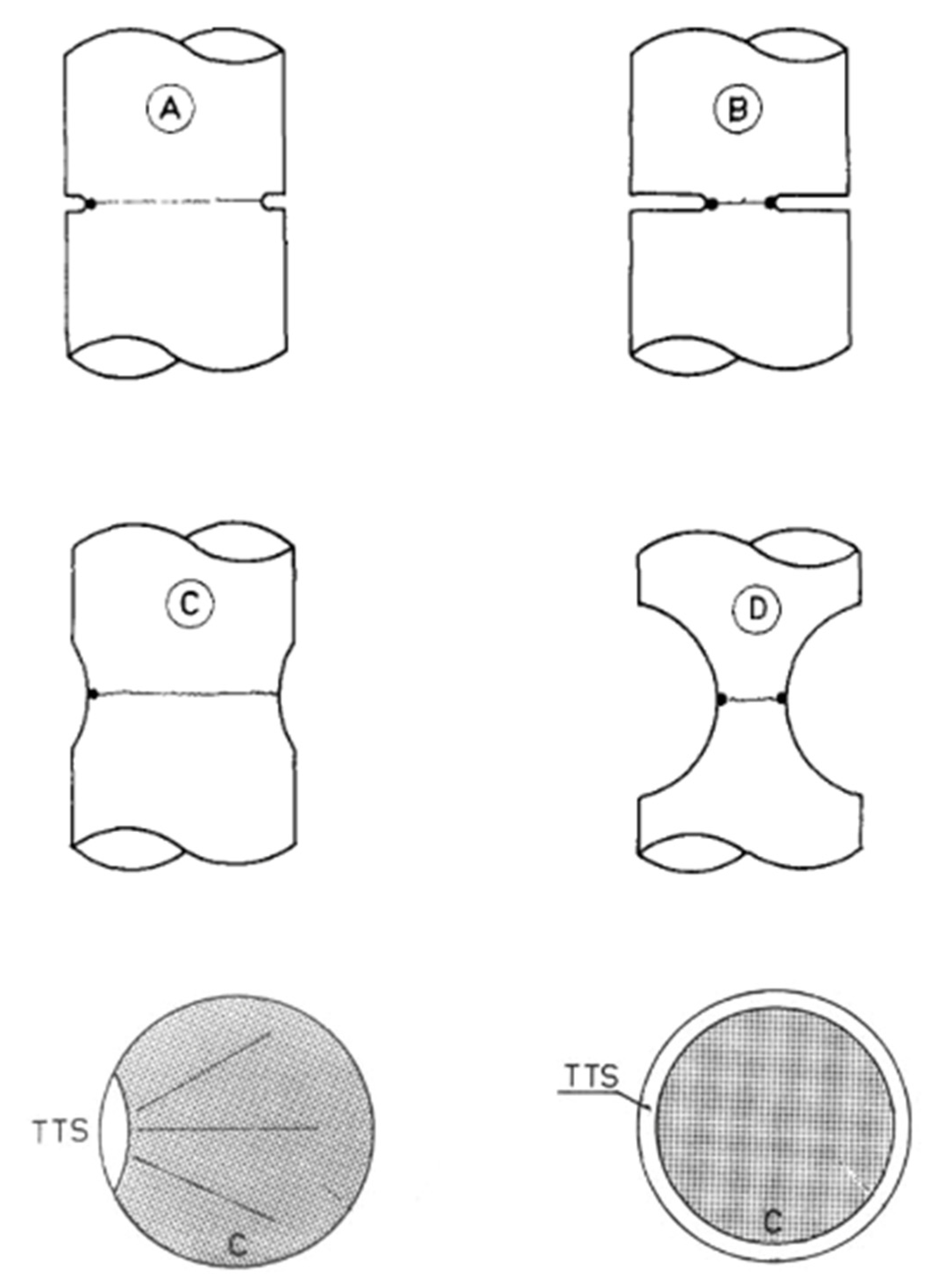 Metals 13 01365 g004