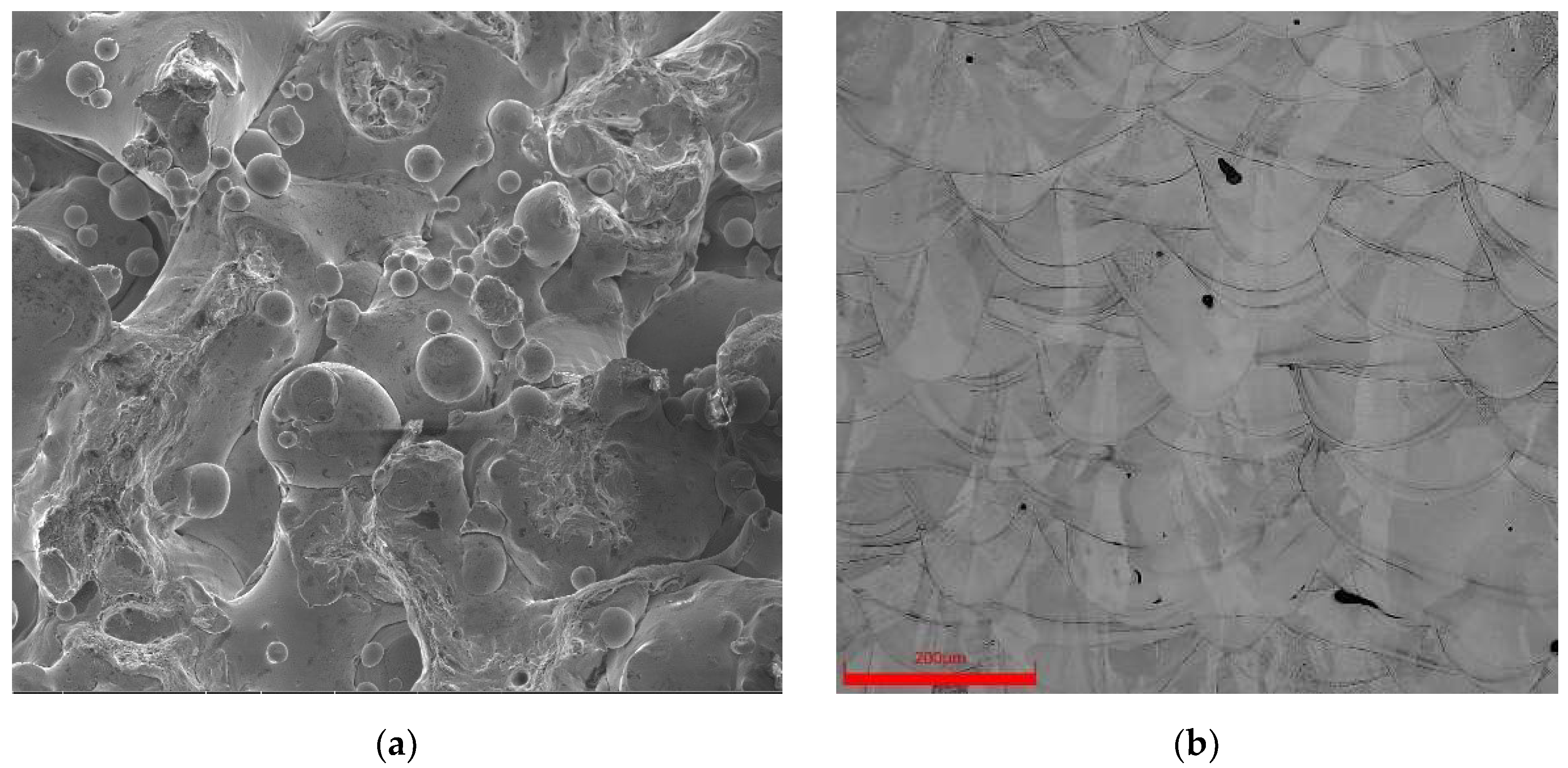 Metals 13 01370 g006