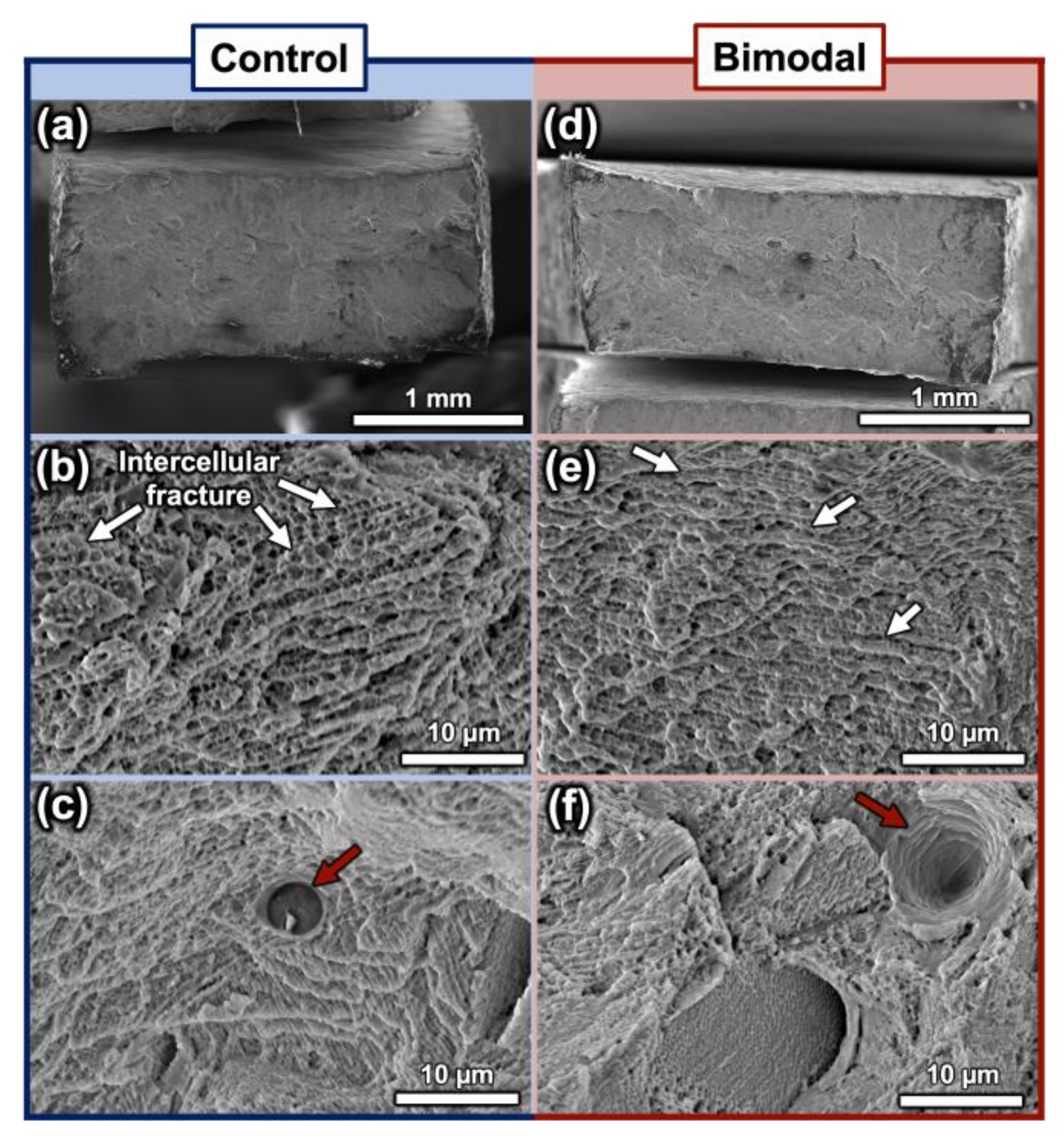 Metals 13 01384 g006 550