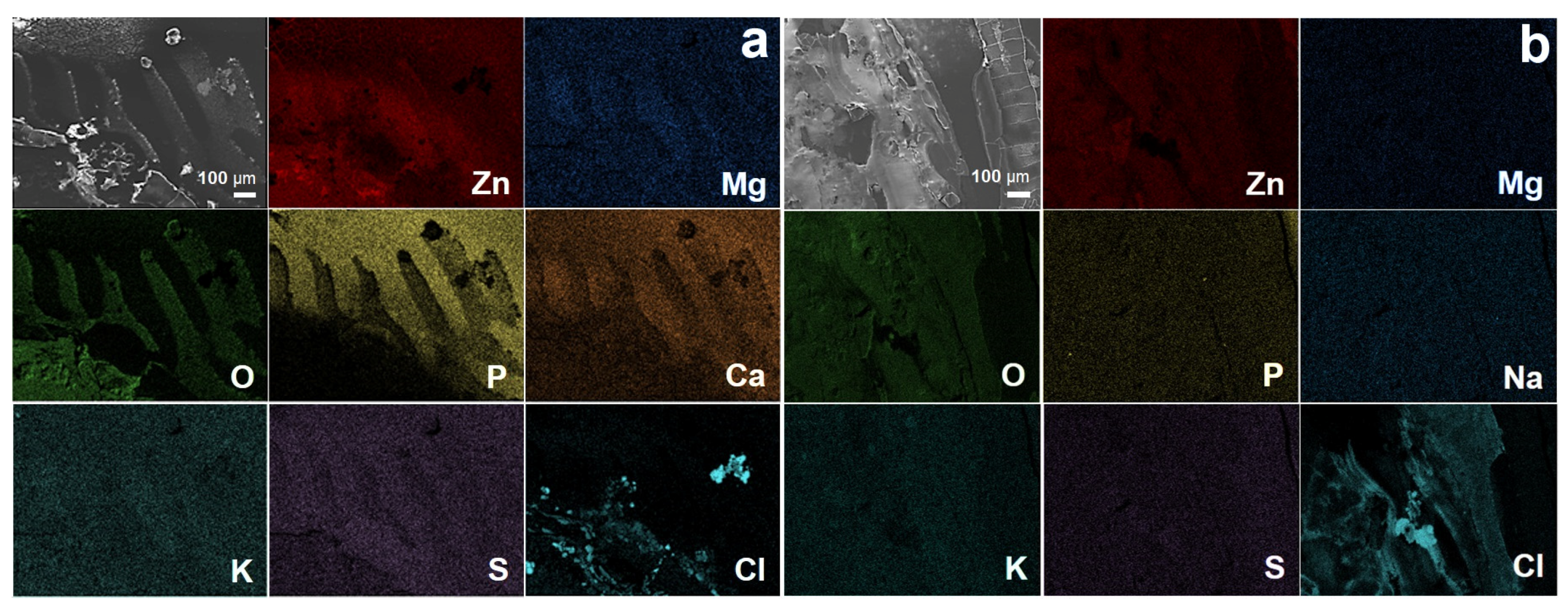 Metals 13 01386 g008