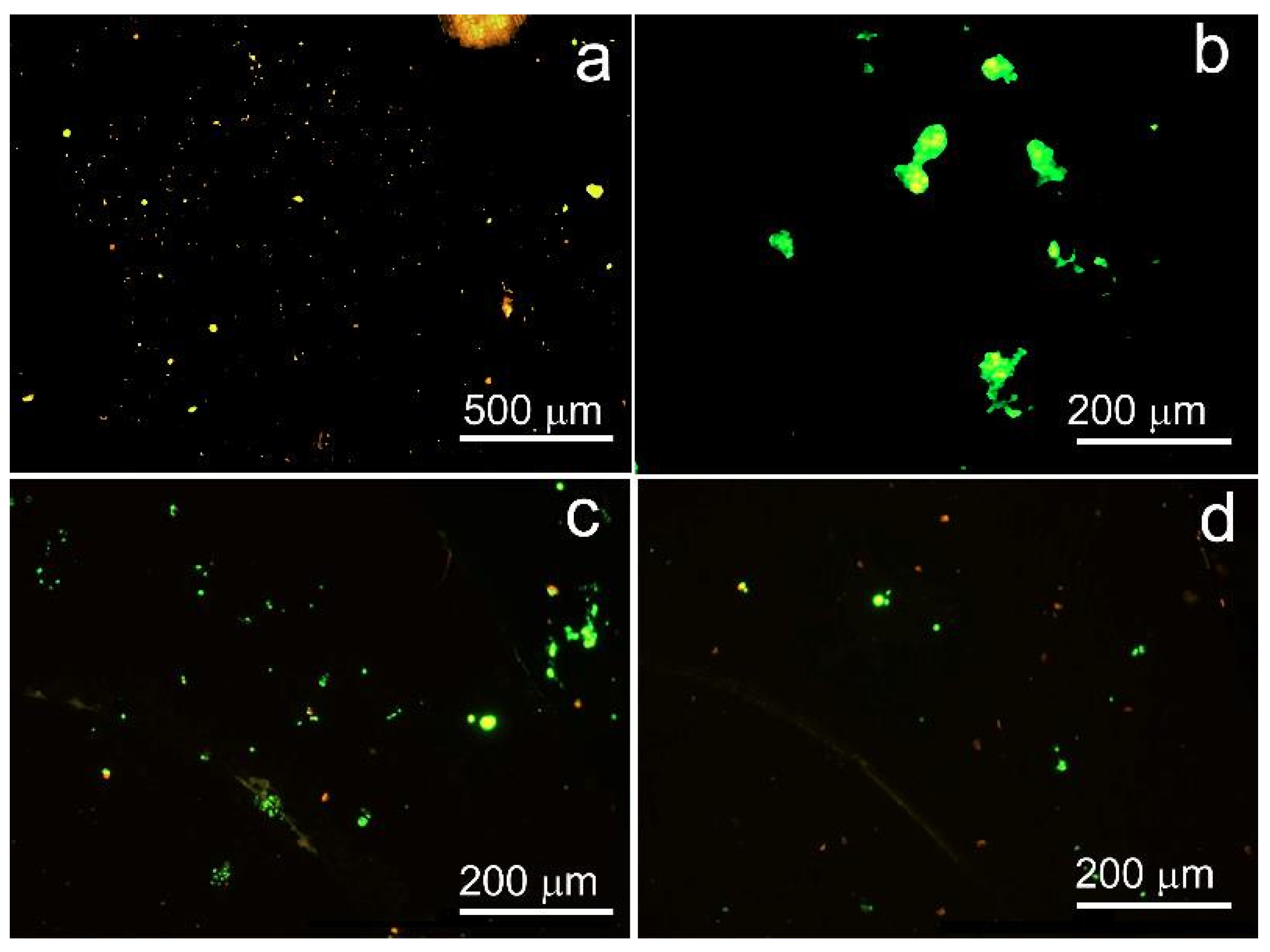 Metals 13 01386 g011