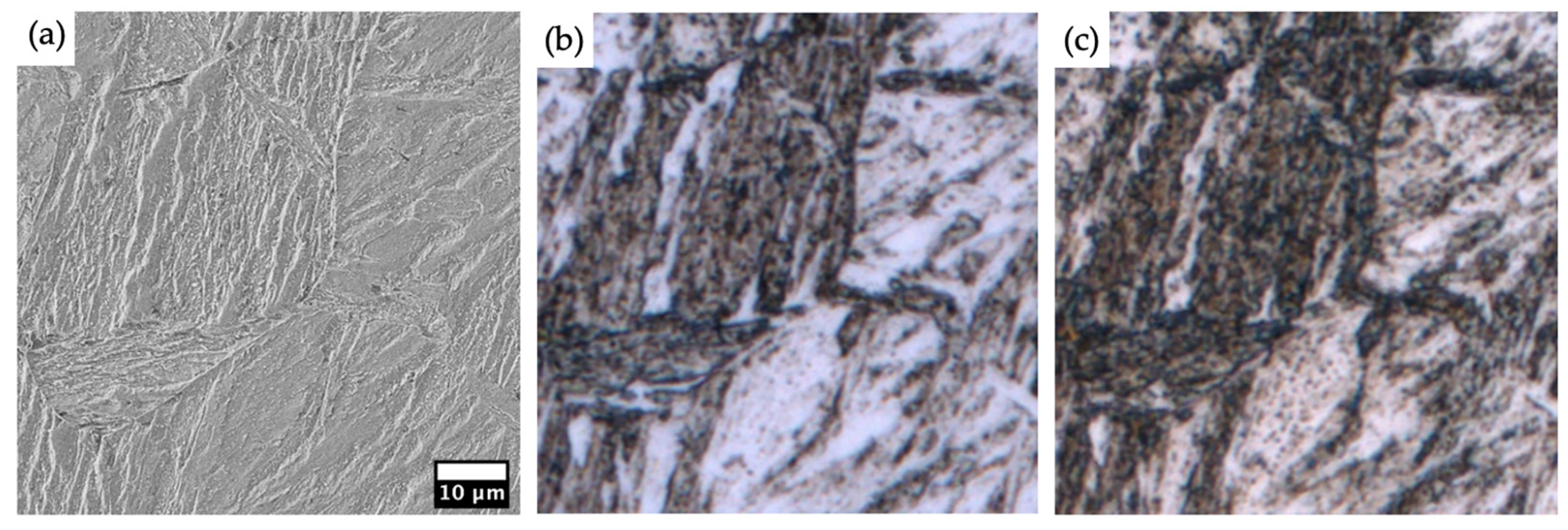 Metals 13 01395 g011