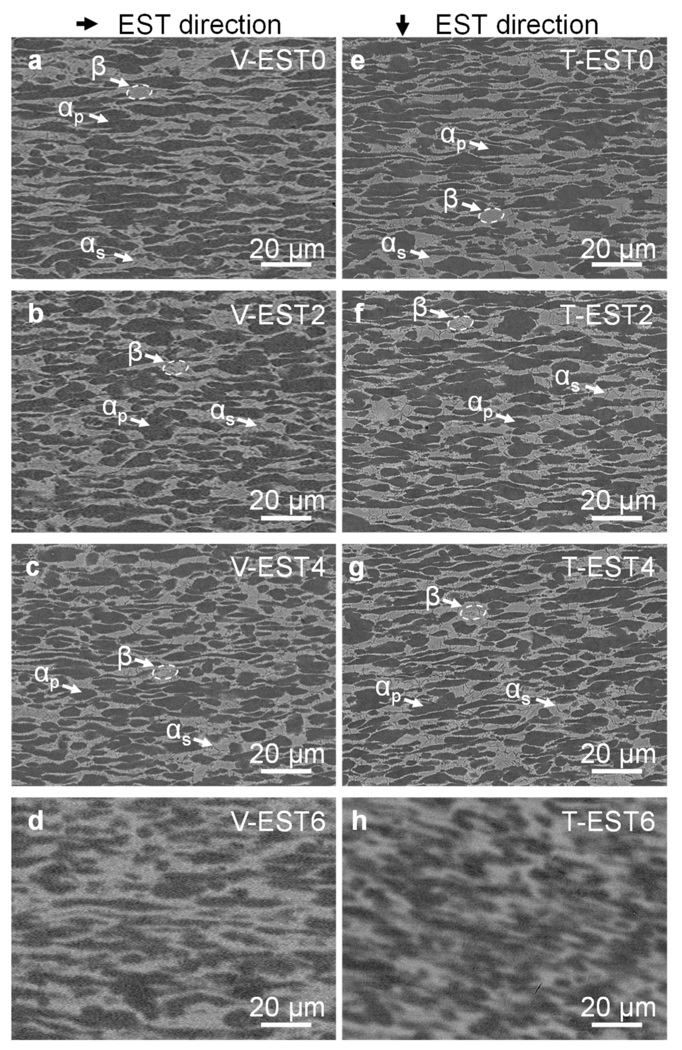 Metals 13 01396 g004