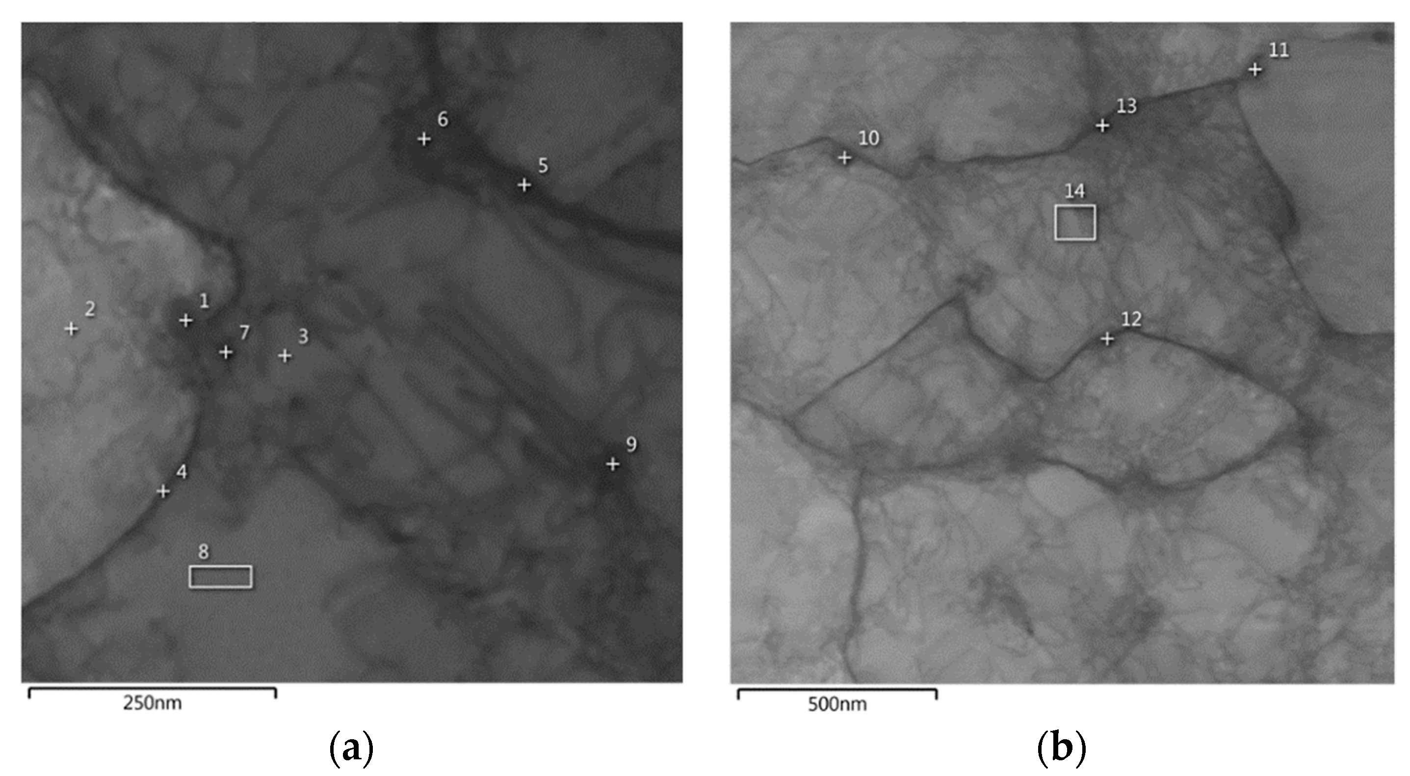 Metals 13 01397 g007