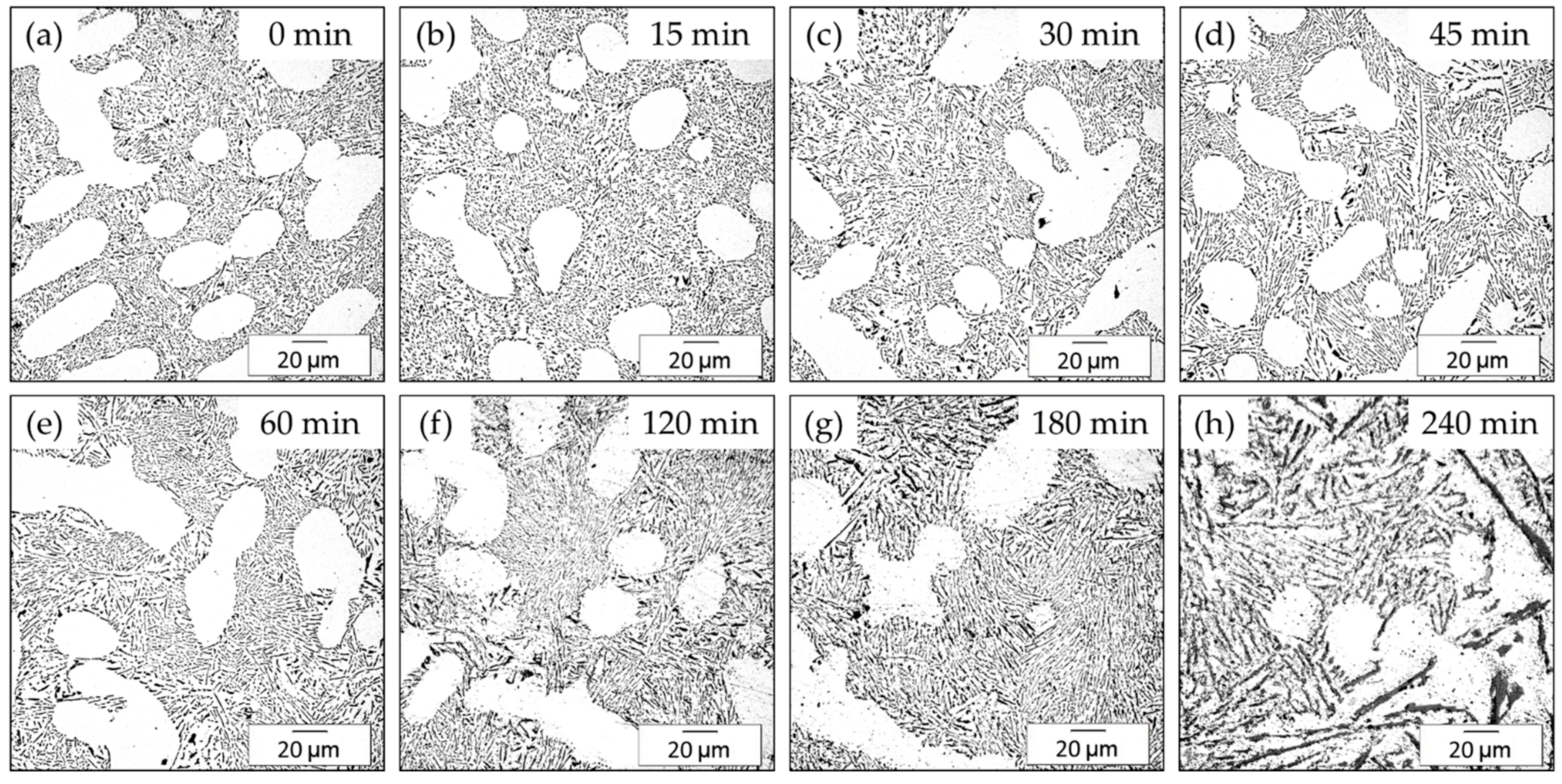 Metals 13 01398 g008