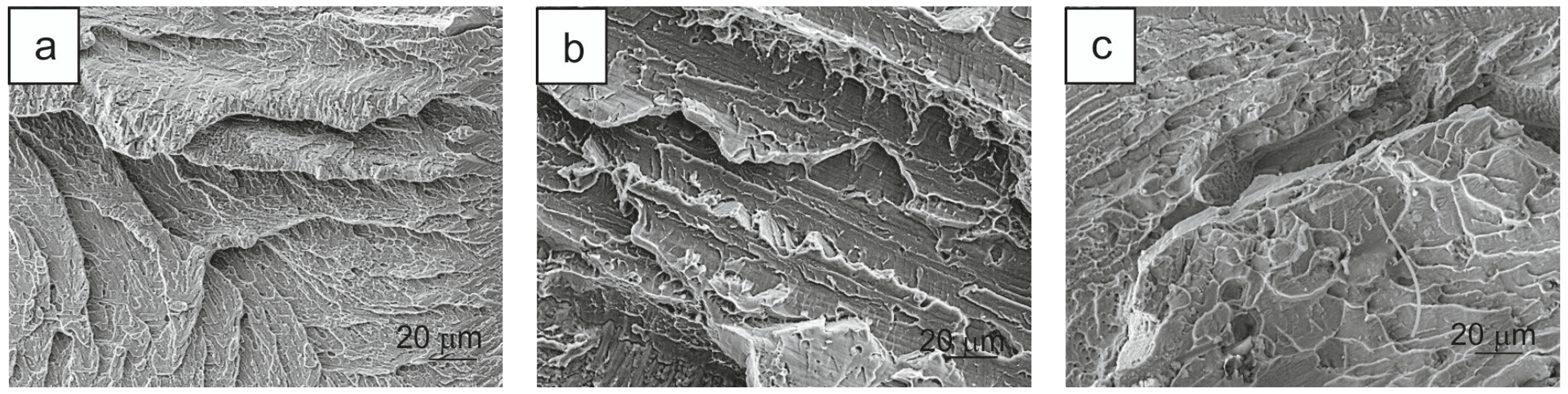 Metals 13 01412 g007