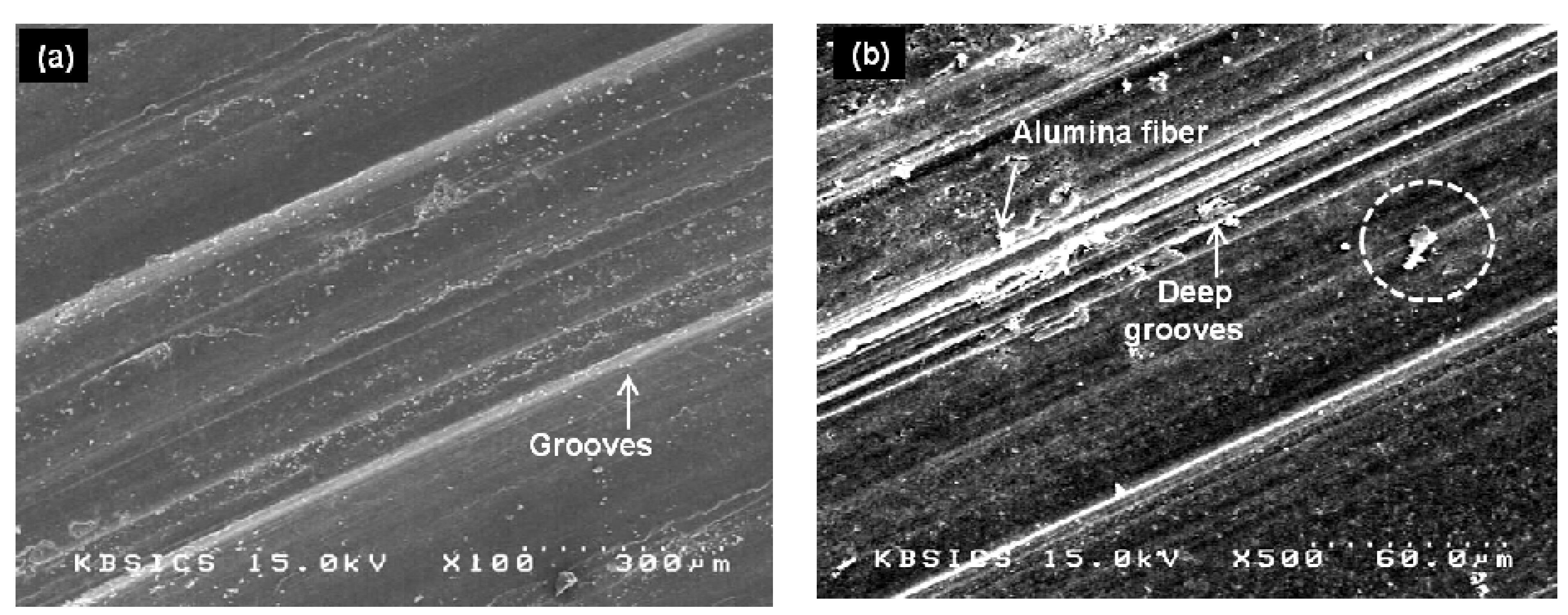 Metals 13 01418 g007