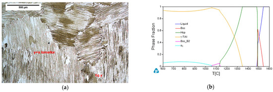 Improving Forging Outcomes of Cast Titanium Aluminide Alloy via