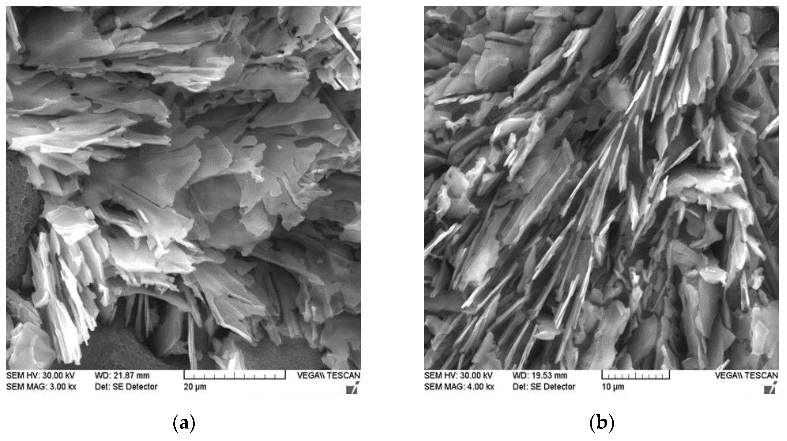 Metals 13 01424 g026 Metals 13 01424 g026