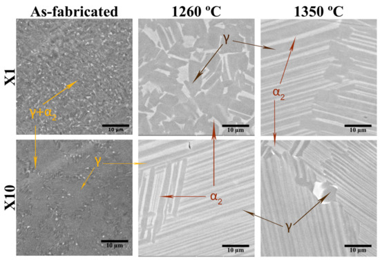 洋書 Gamma Titanium Aluminide Alloys Development of gamma titanium aluminide (γ-TiAl) alloys: A