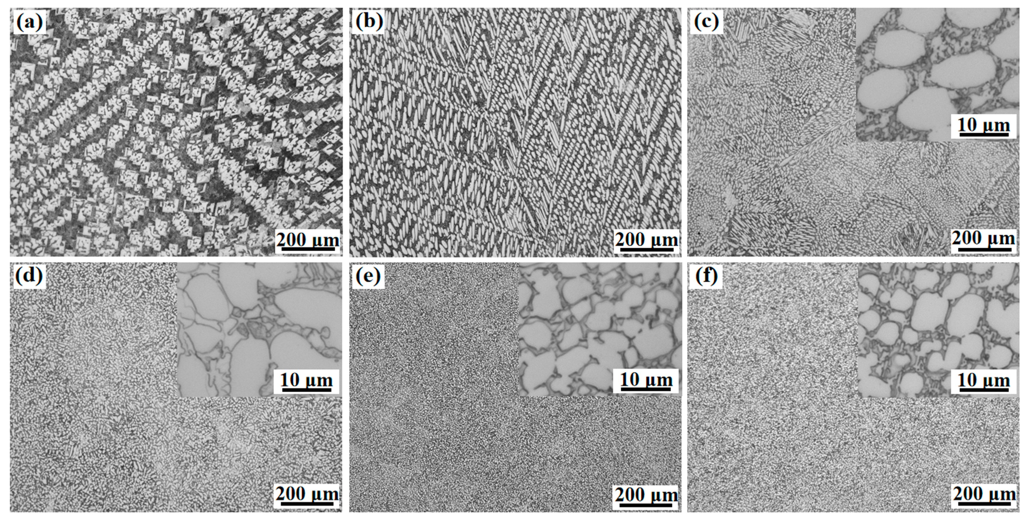 Solidification Behavior of Undercooled Fe75B25 Alloy