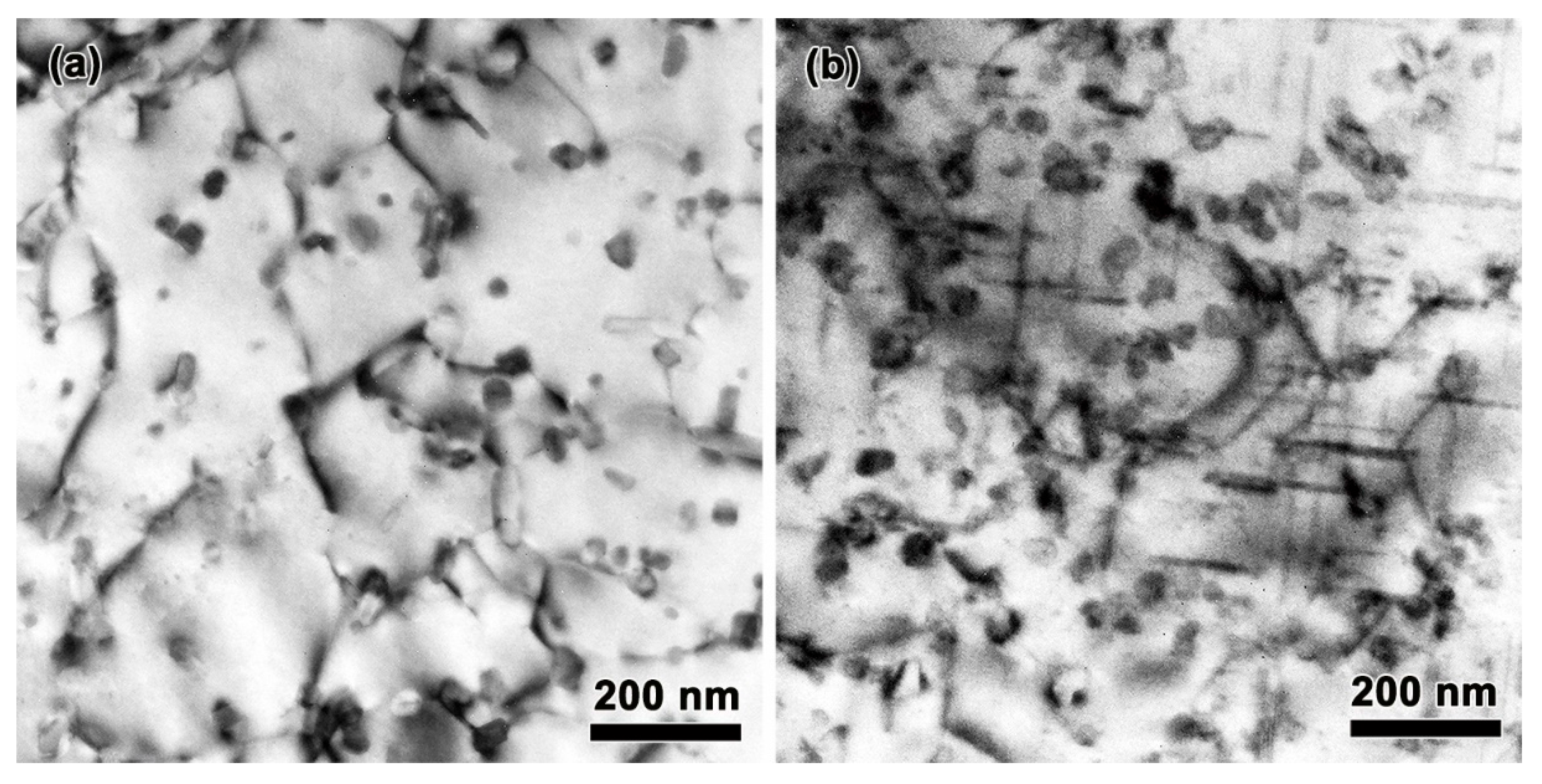 Metals 13 01451 g011