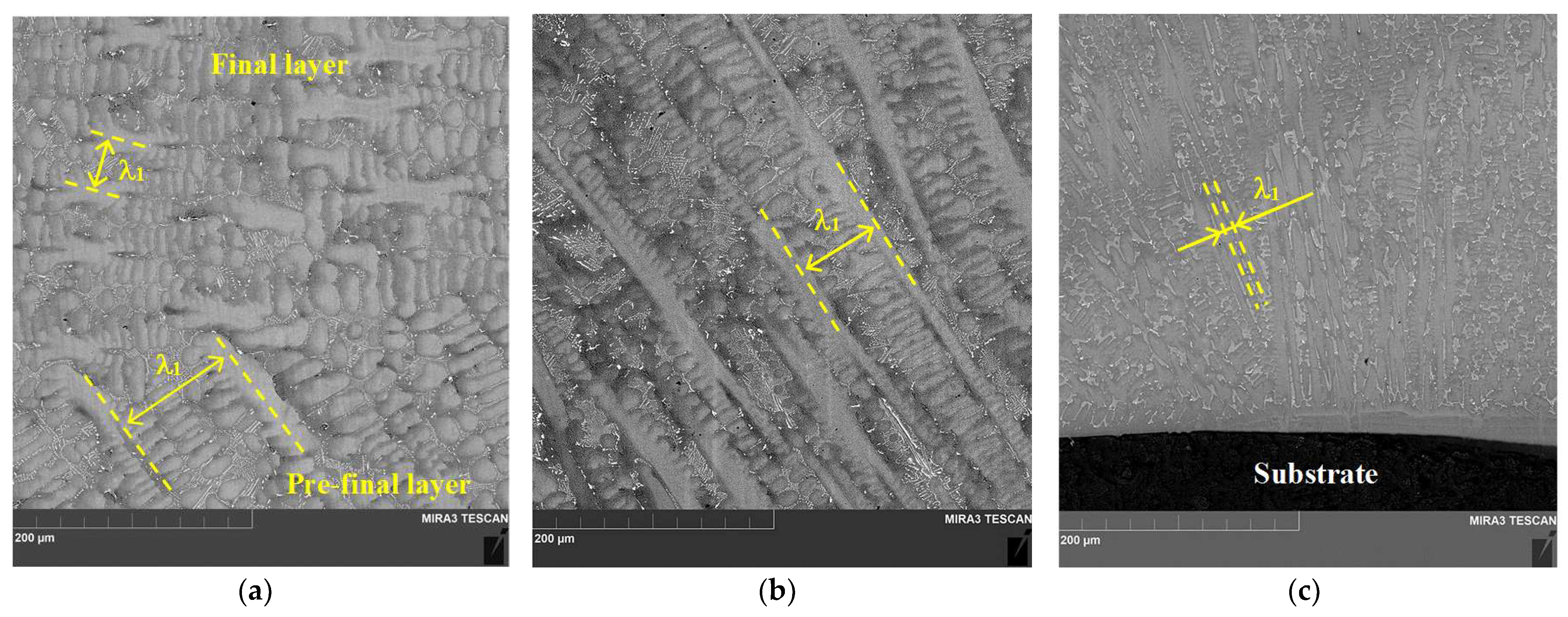 Metals 13 01457 g006