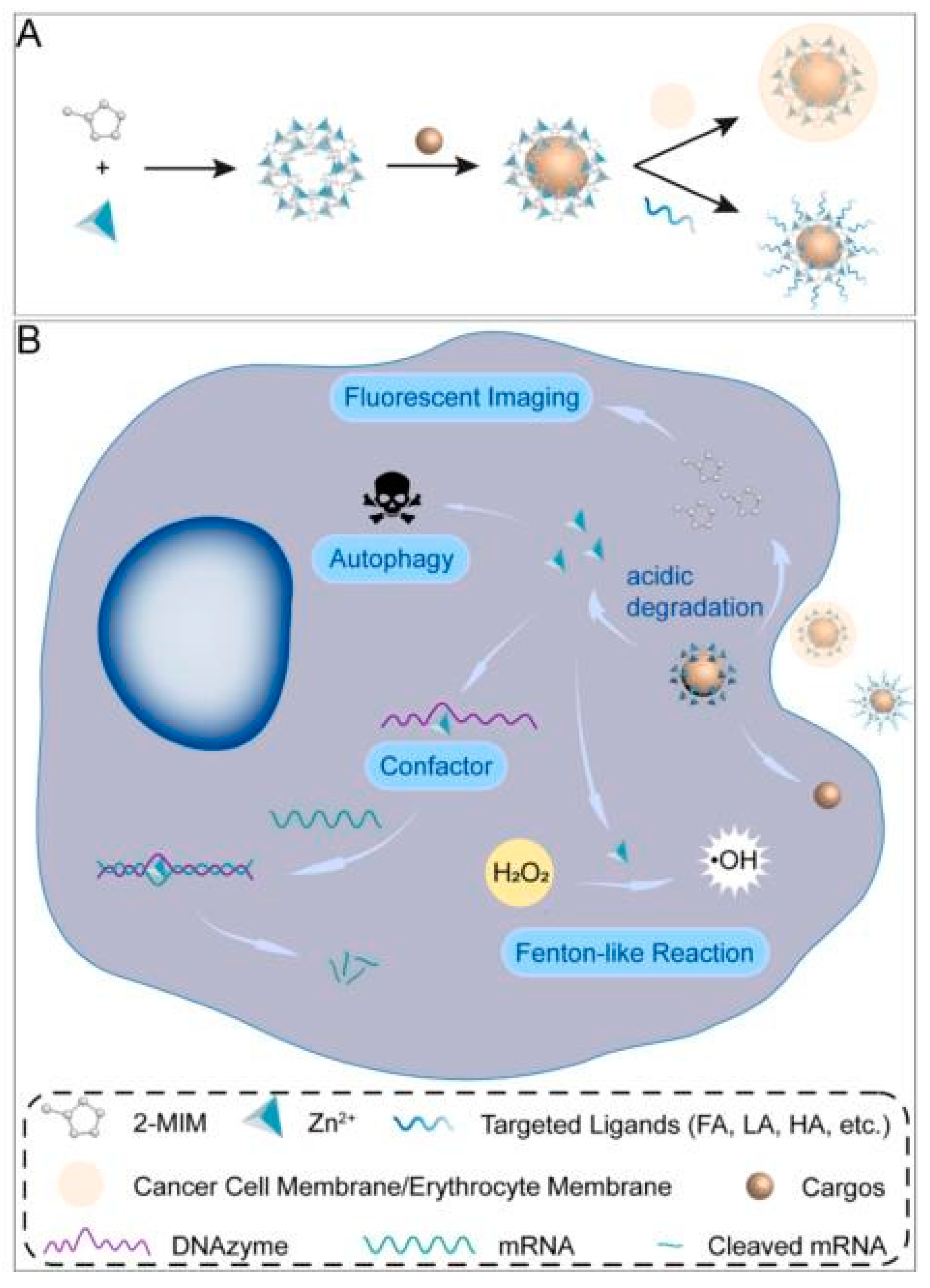 Metals 13 01511 g006