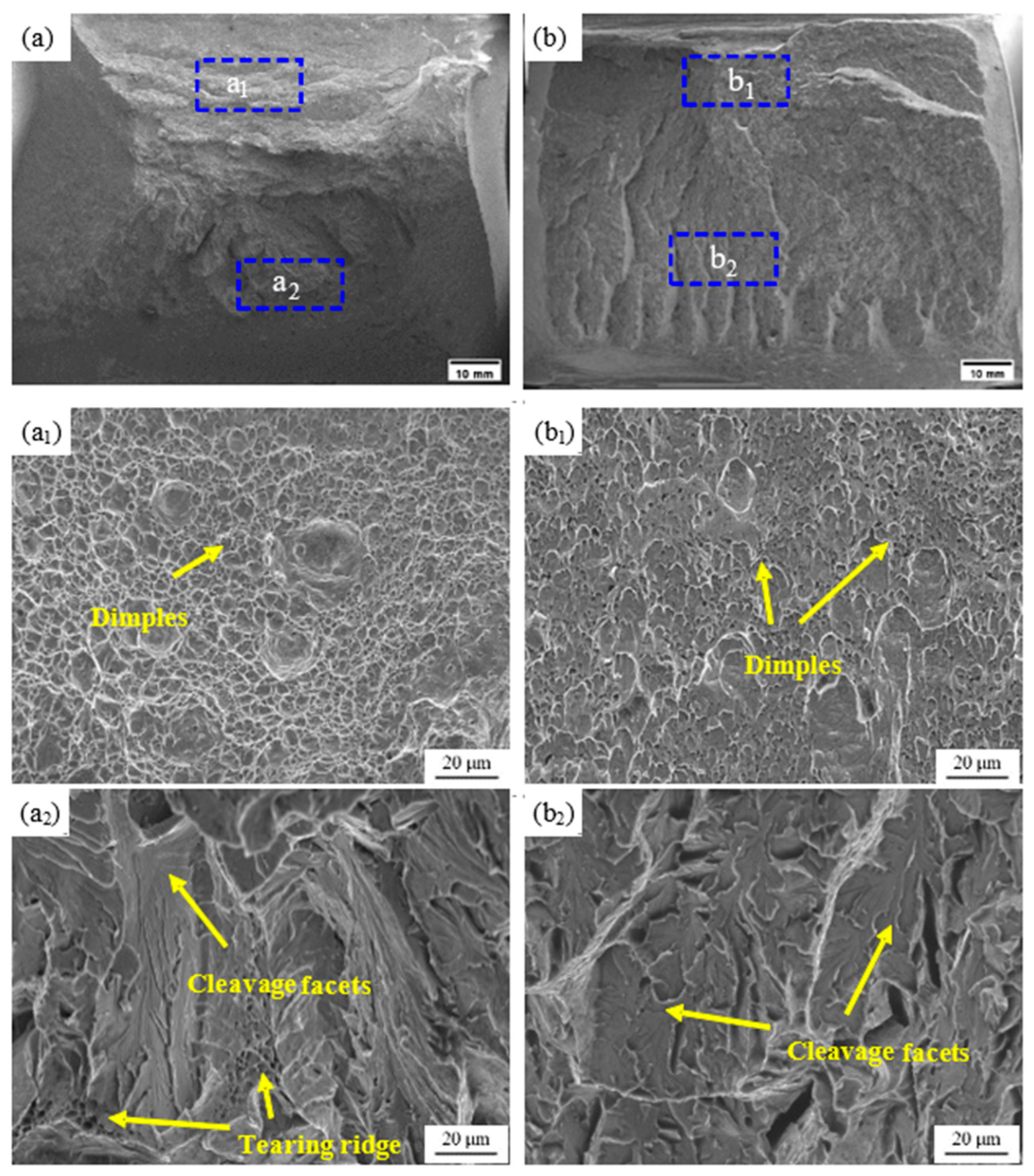 Metals 13 01530 g008