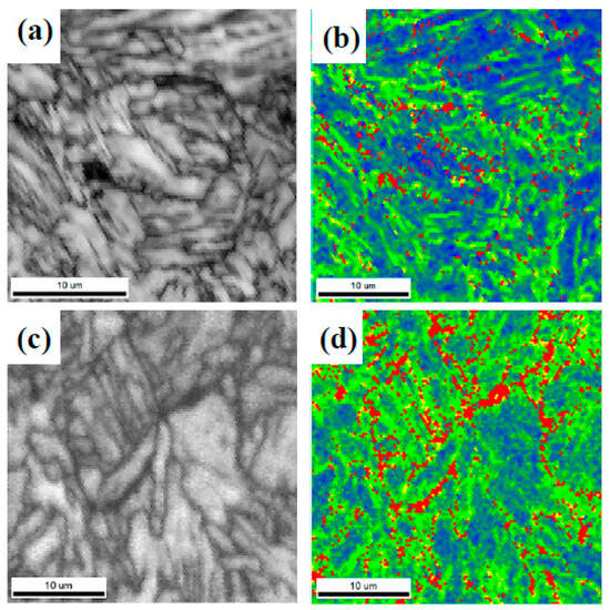 Insight into the Role of Mo Content on the Microstructure
