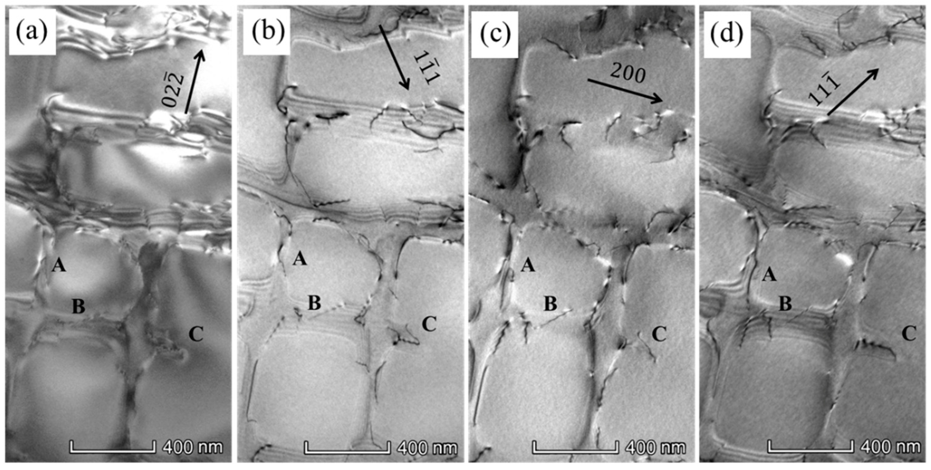 Metals 13 01541 g006