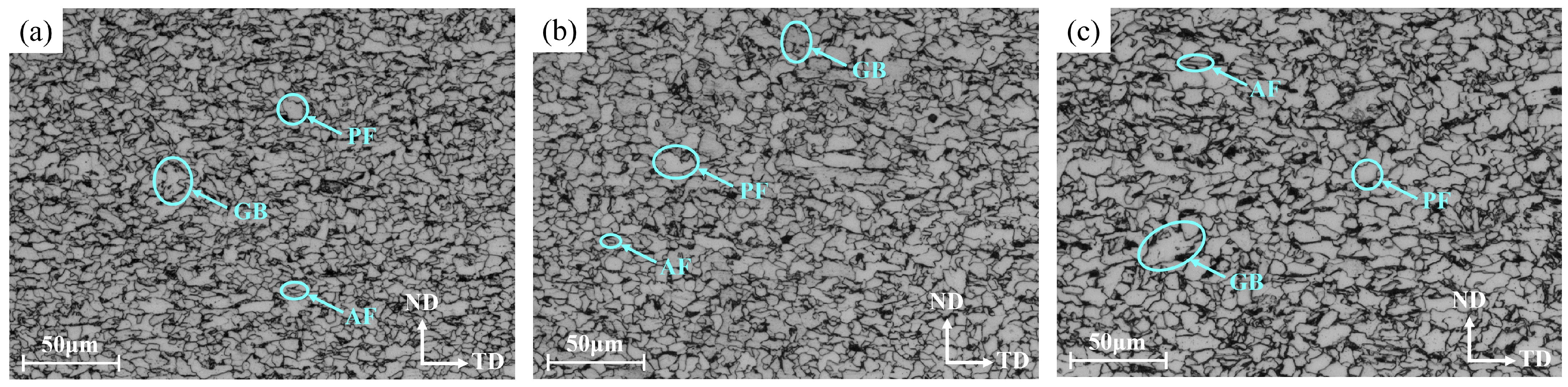 Metals 13 01563 g003