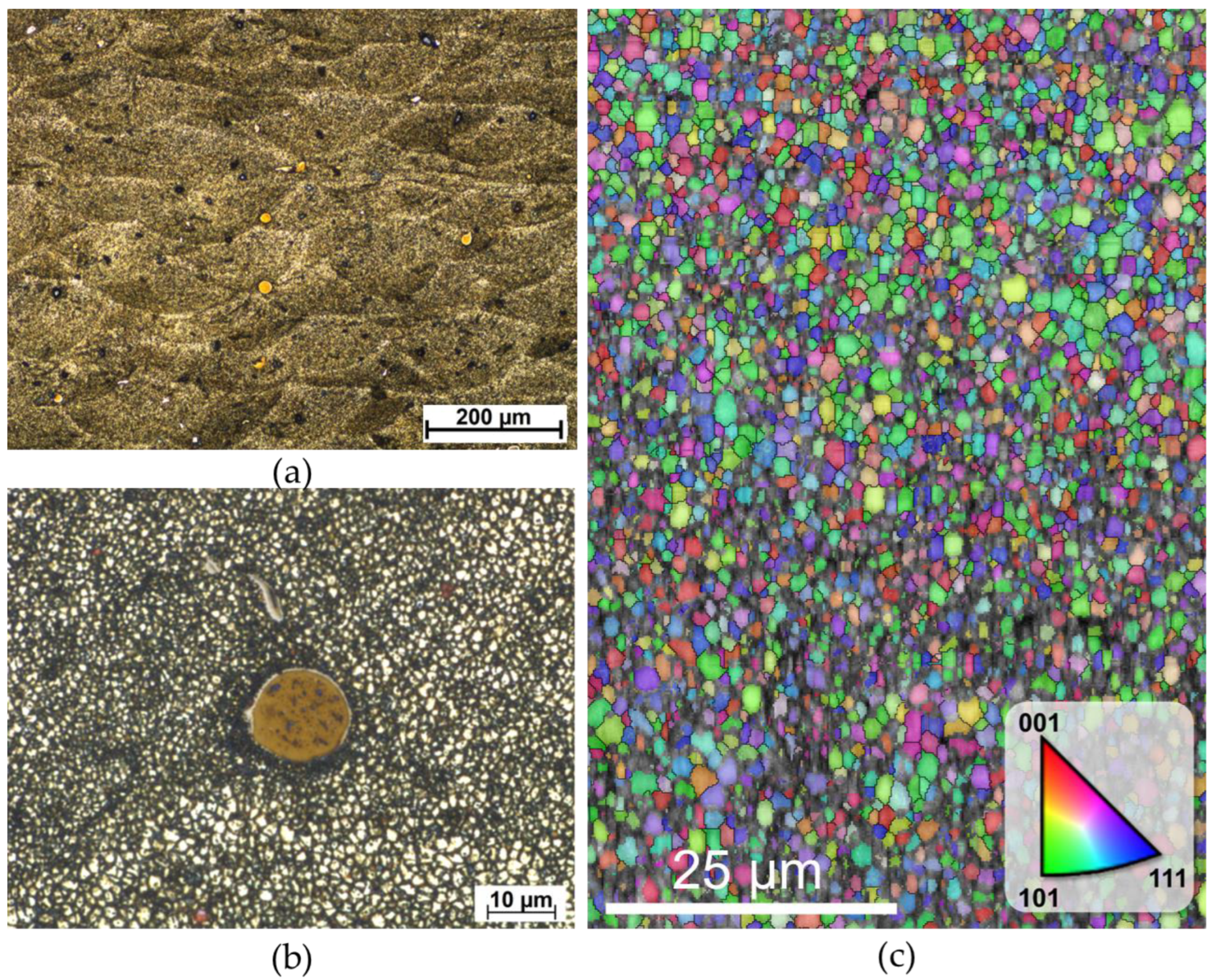 Metals 13 01615 g002