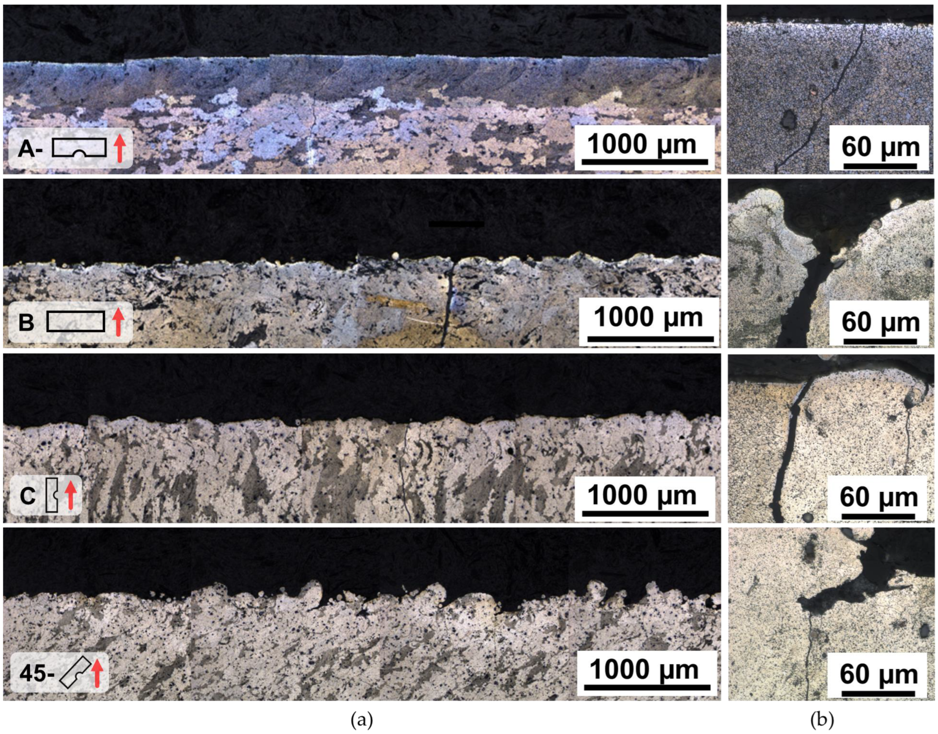 Metals 13 01615 g007