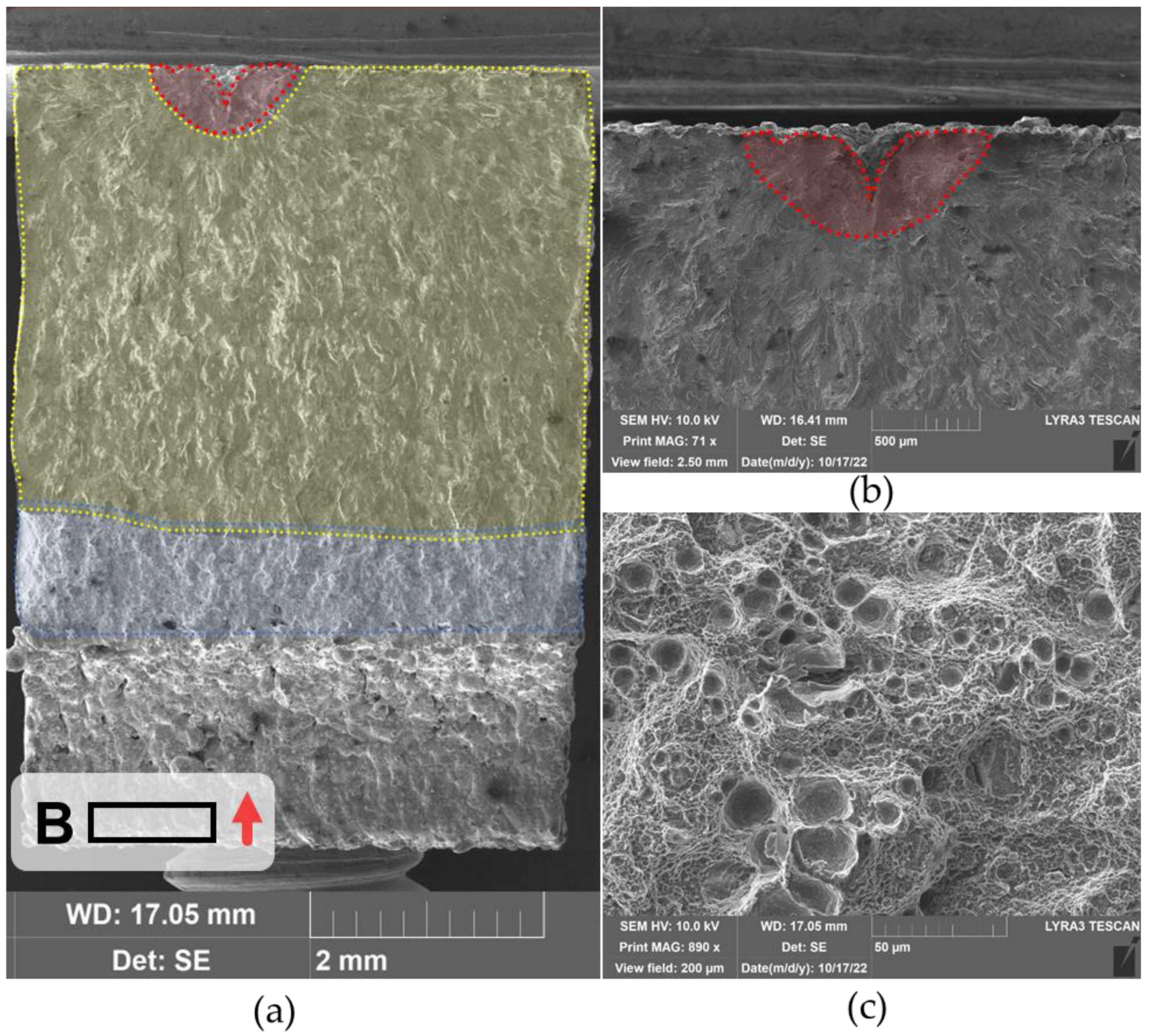 Metals 13 01615 g011