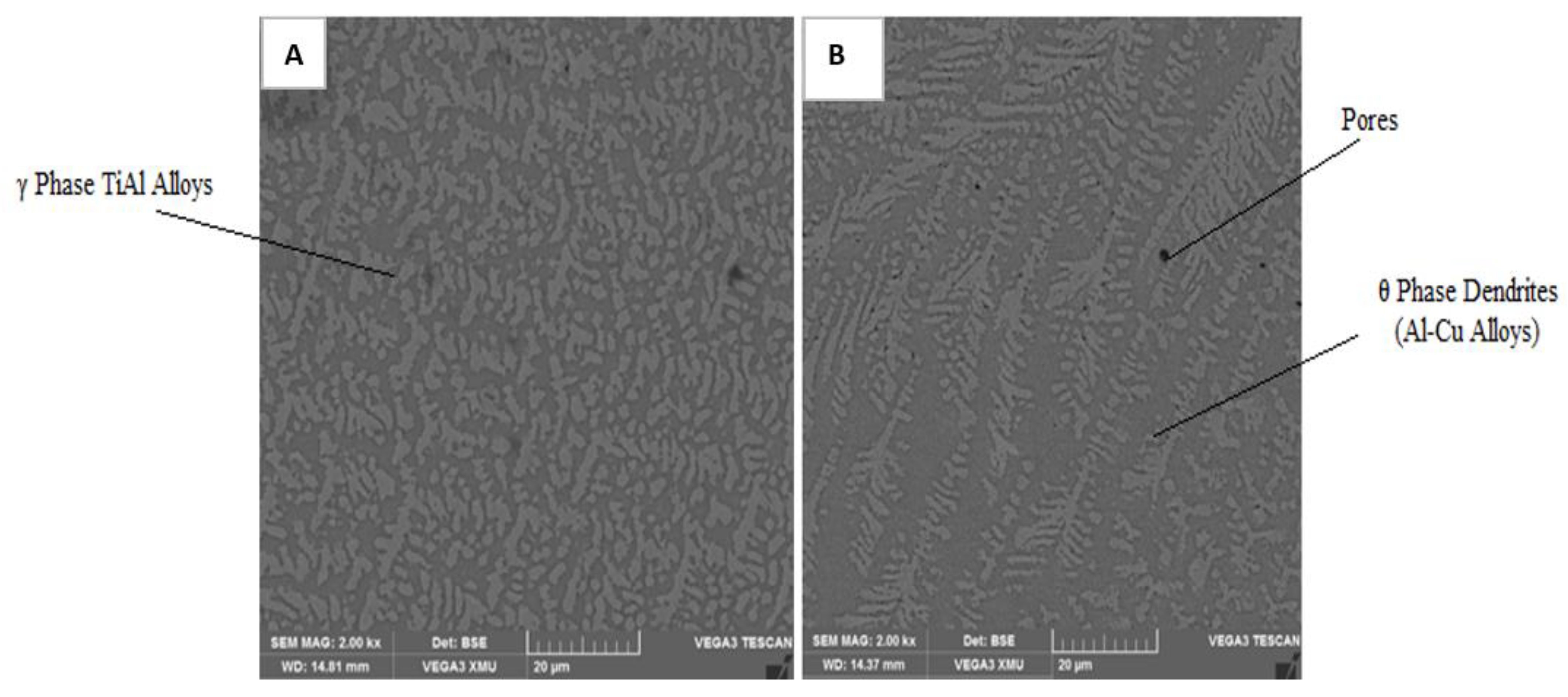 Metals 13 01617 g007