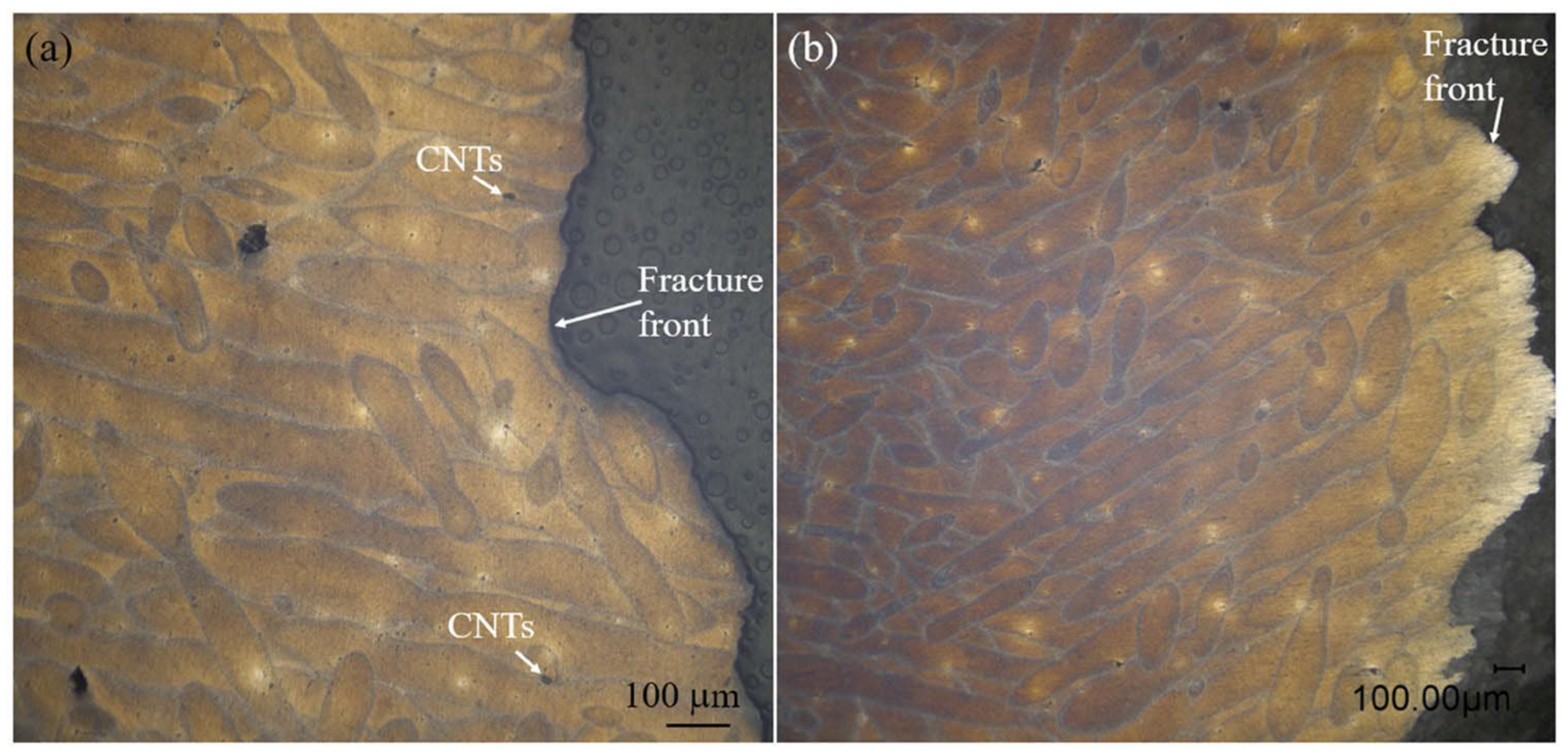 Metals 13 01619 g012