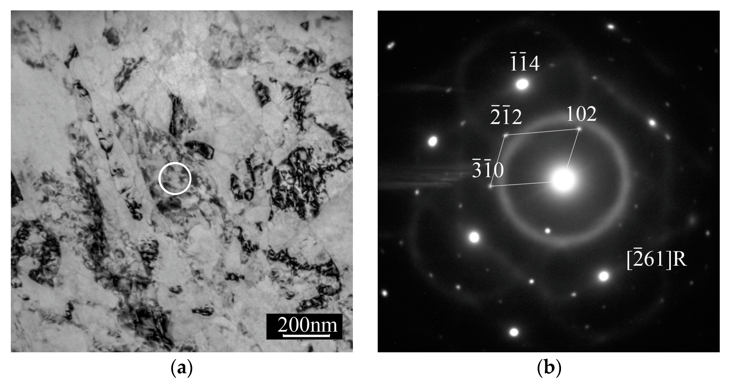 Metals 13 01632 g005a