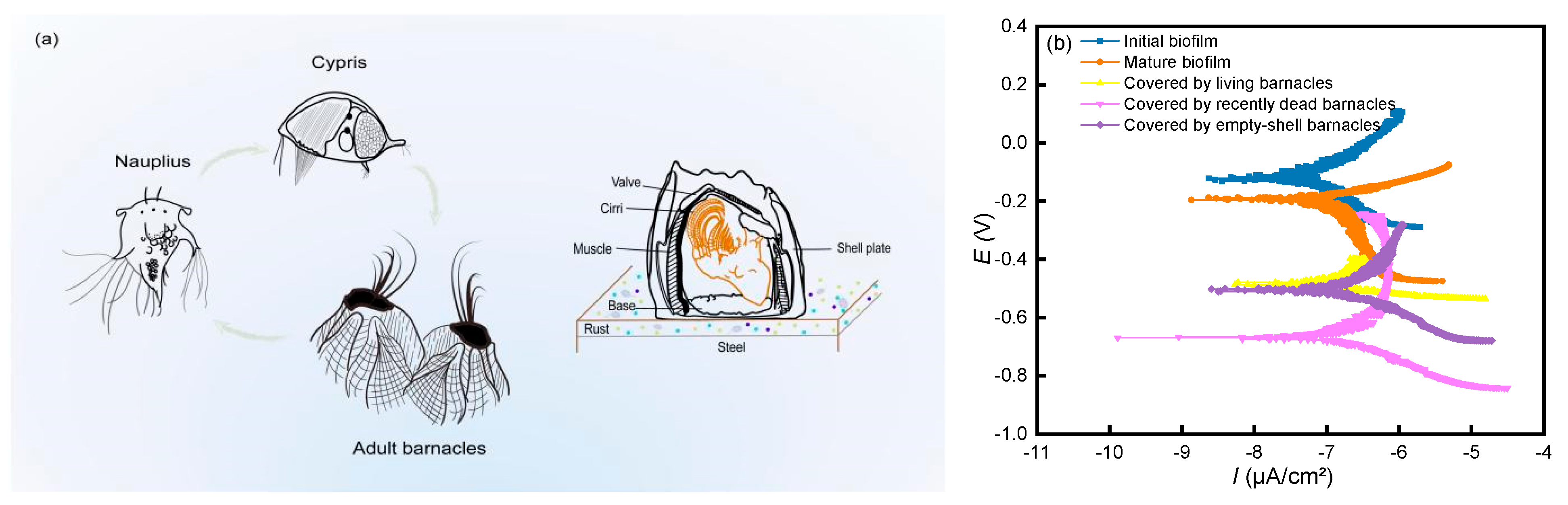Metals 13 01649 g003