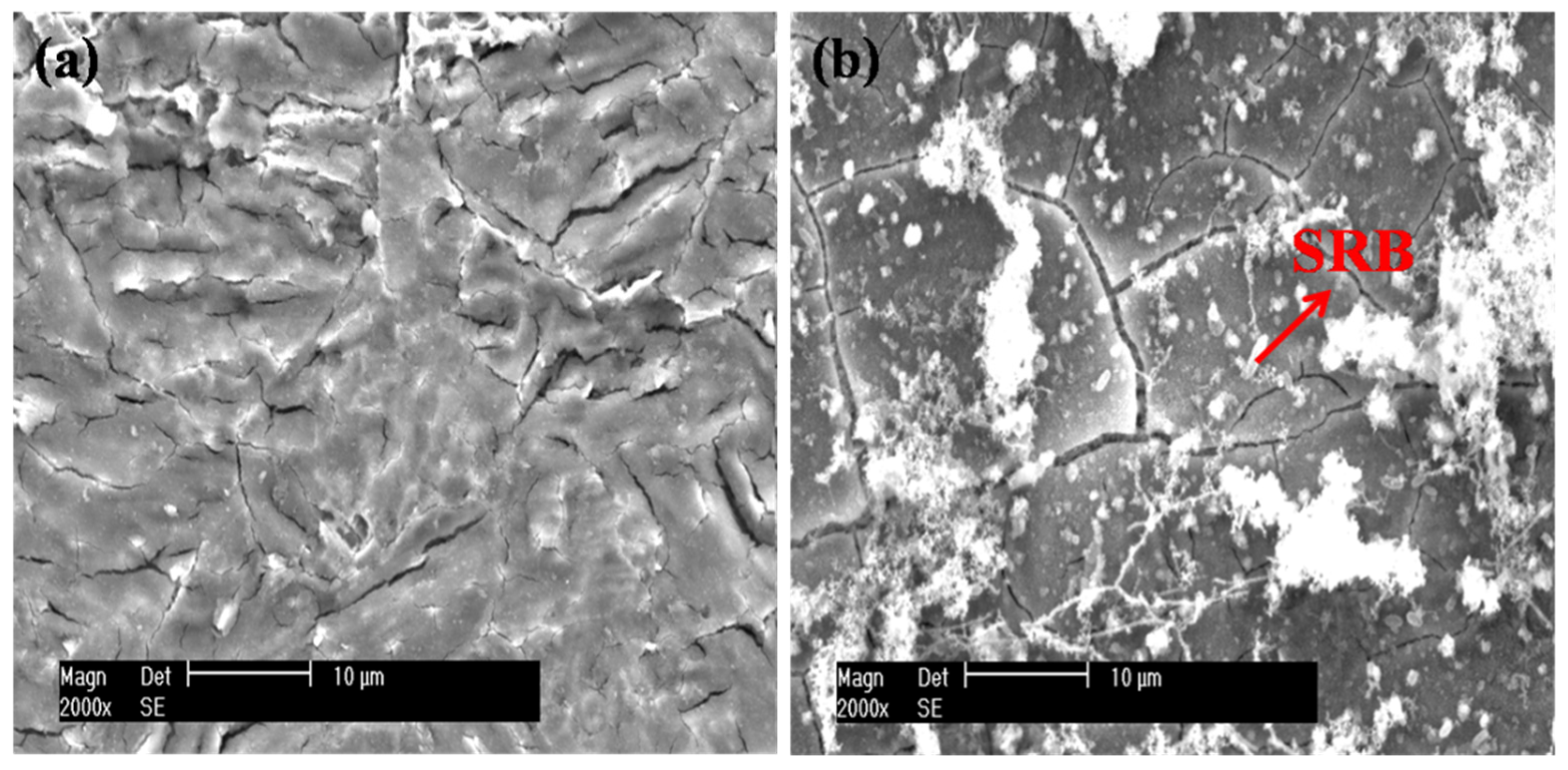 Metals 13 01695 g007