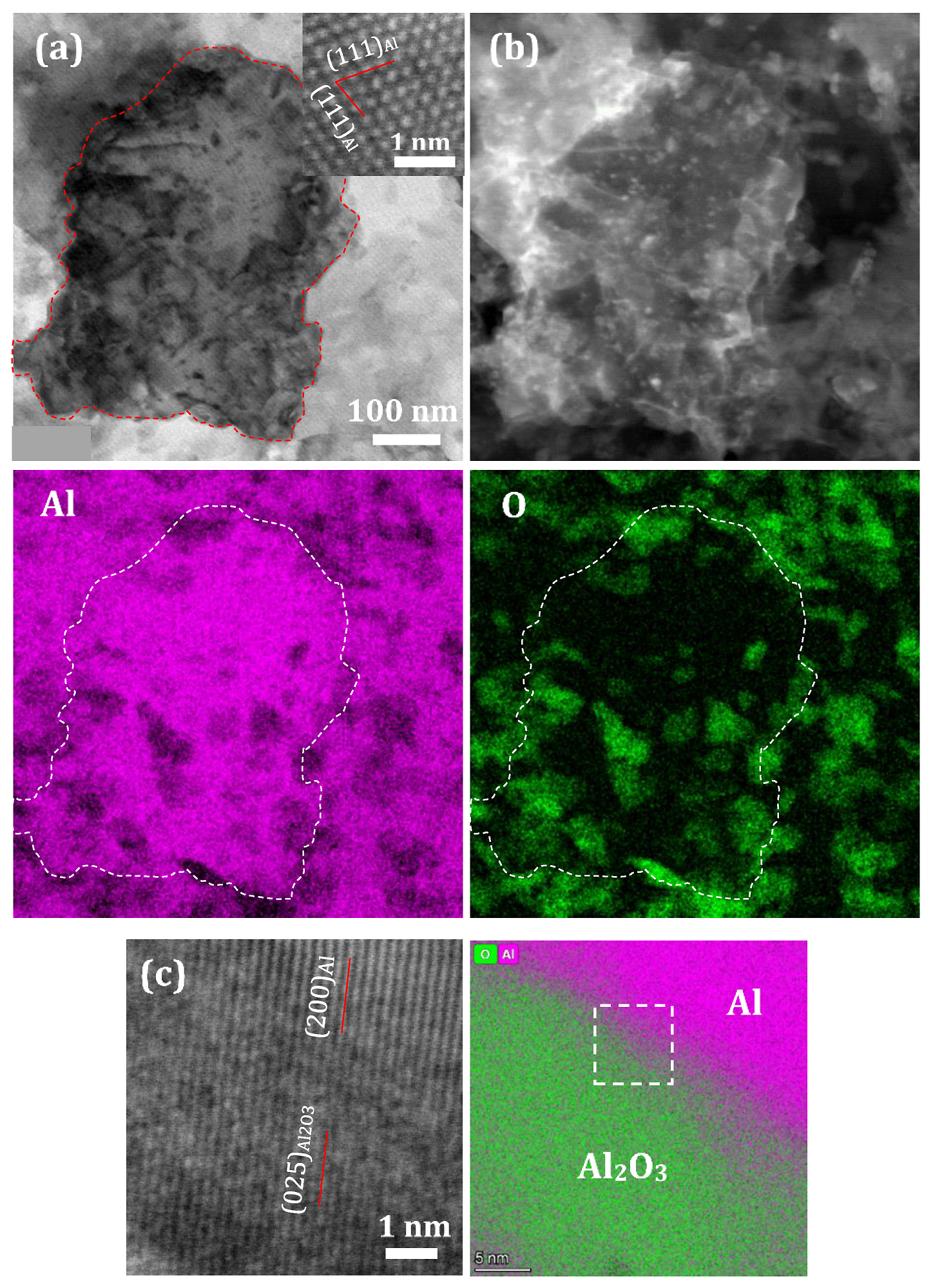 Metals 13 01696 g005