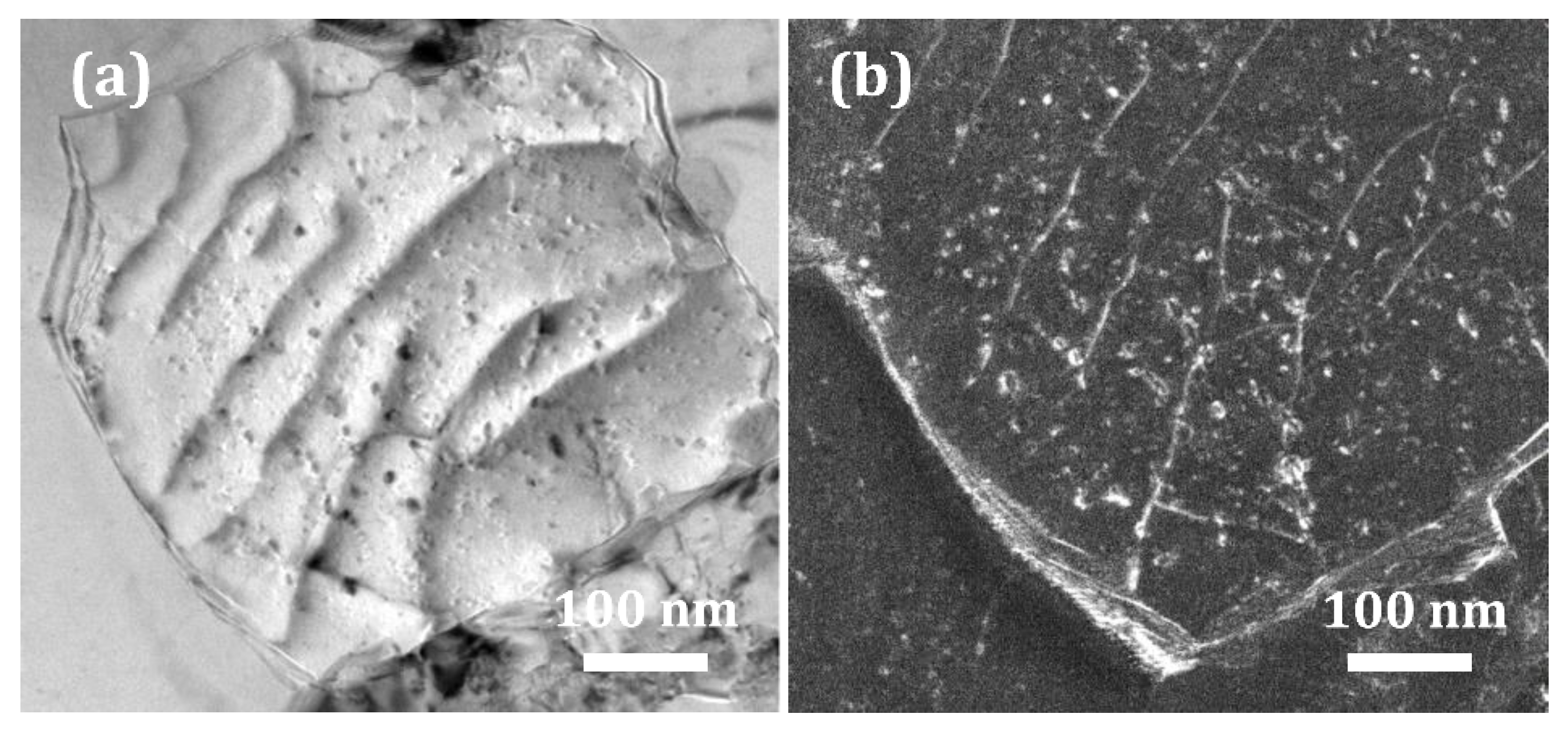 Metals 13 01696 g007