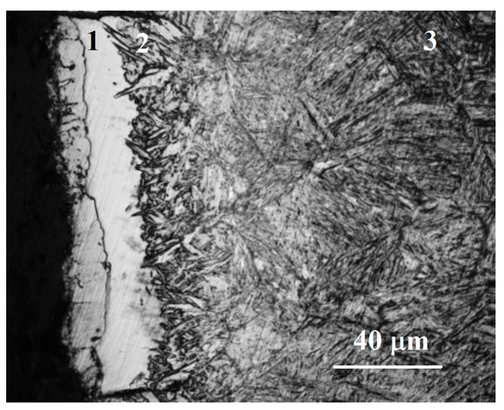 Metals 13 01731 g023