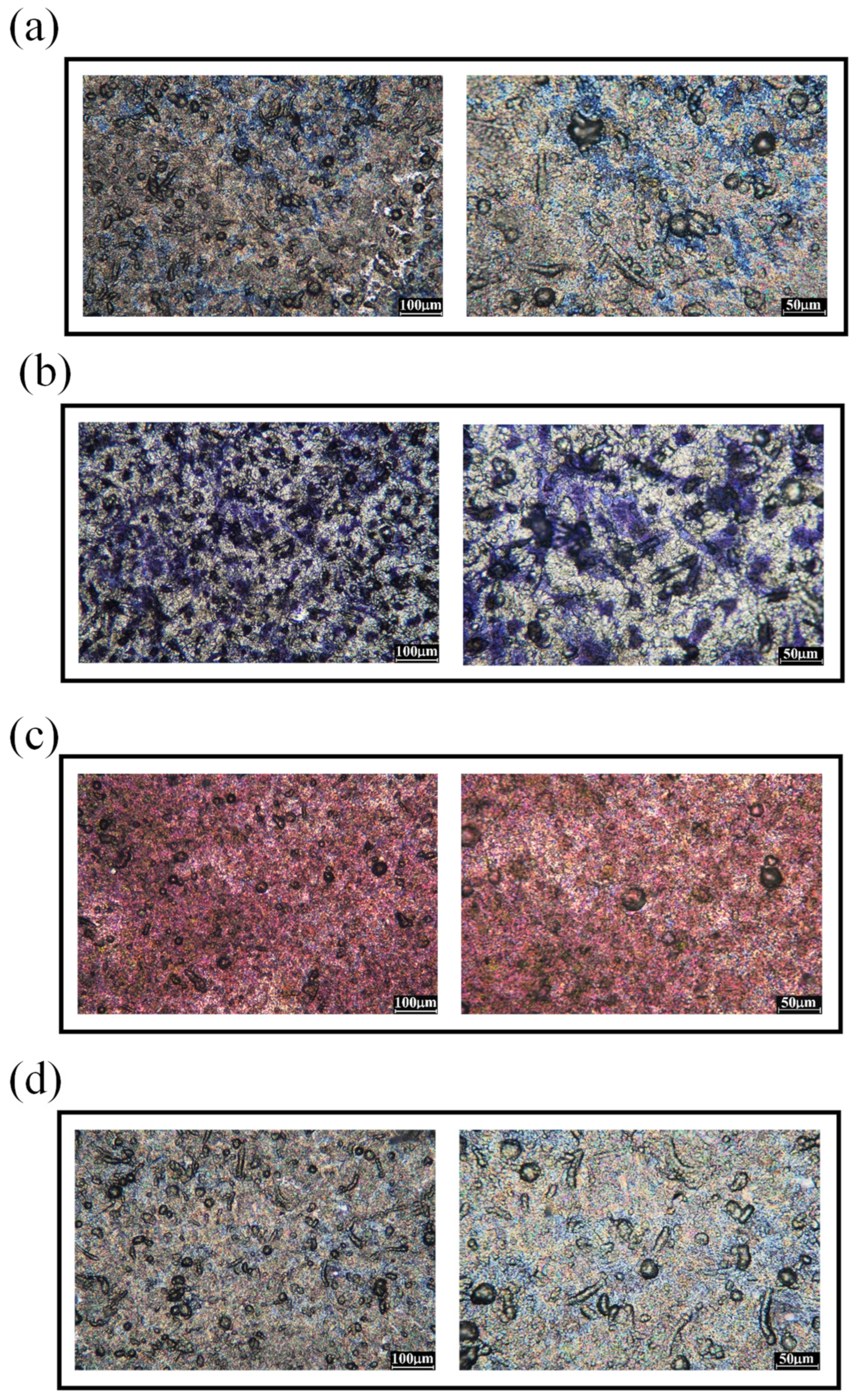 Metals 13 01739 g006