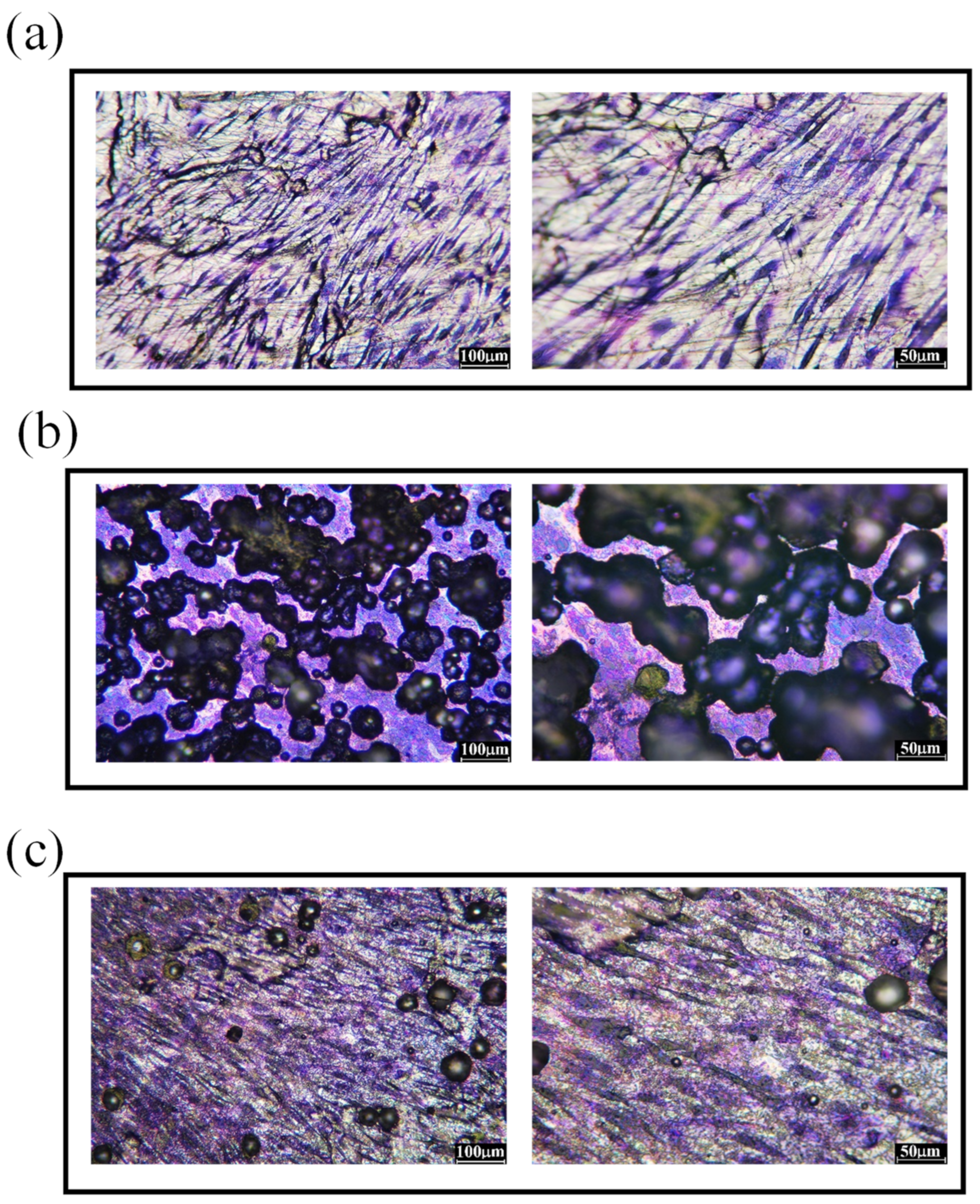Metals 13 01739 g007