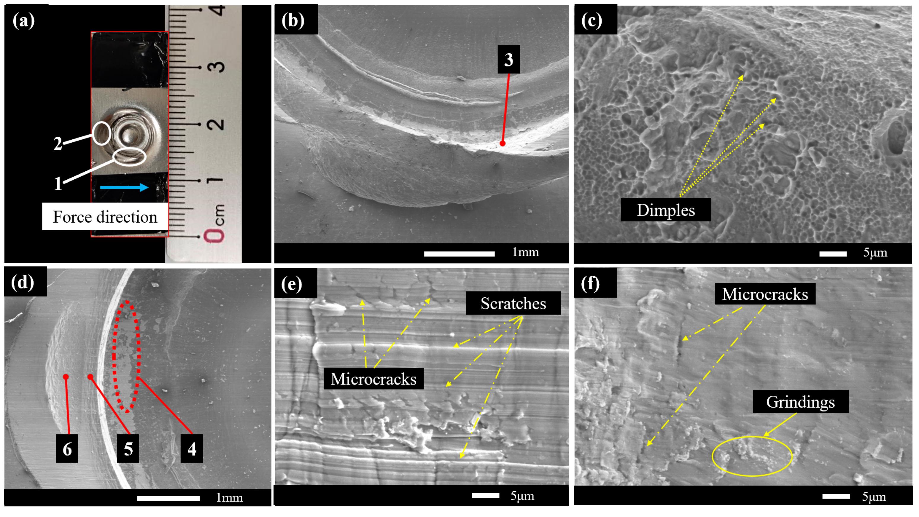Metals 13 01800 g010