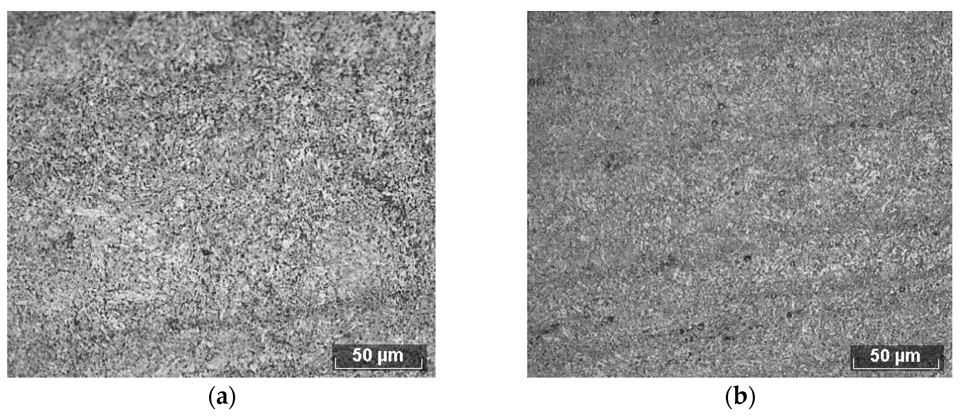 Metals 13 01805 g002