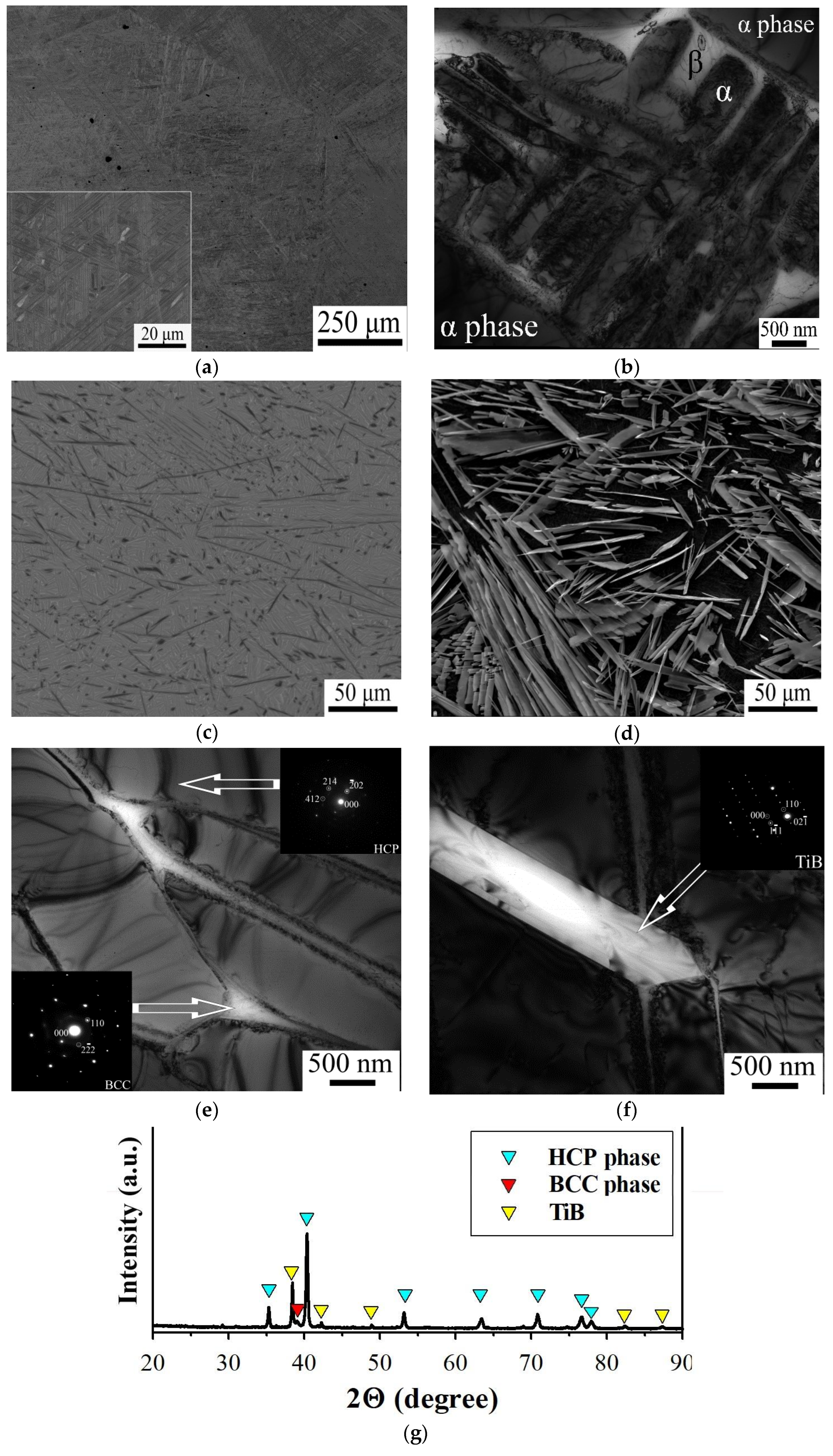 Metals 13 01812 g001