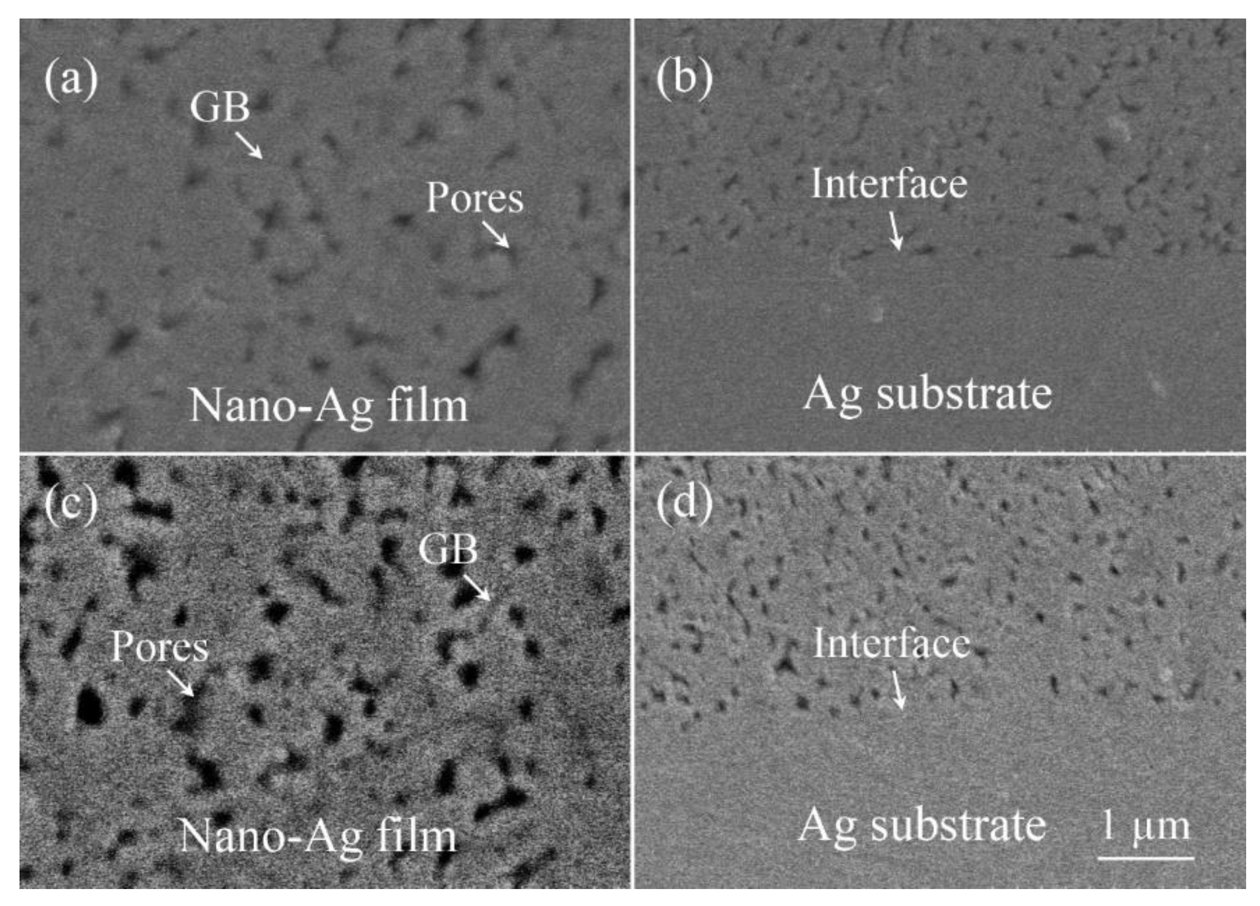 Metals 13 01833 g005