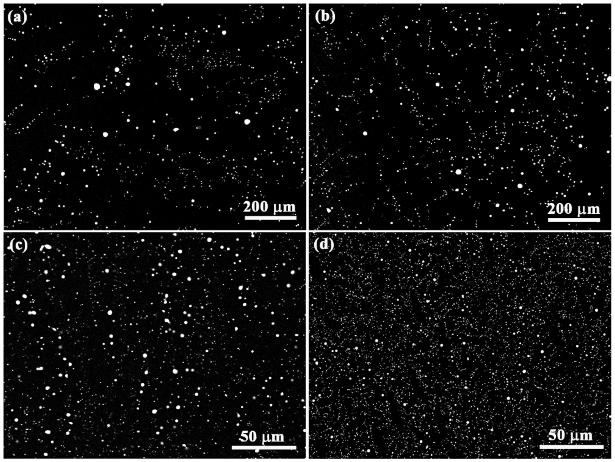 Metals 13 01867 g005