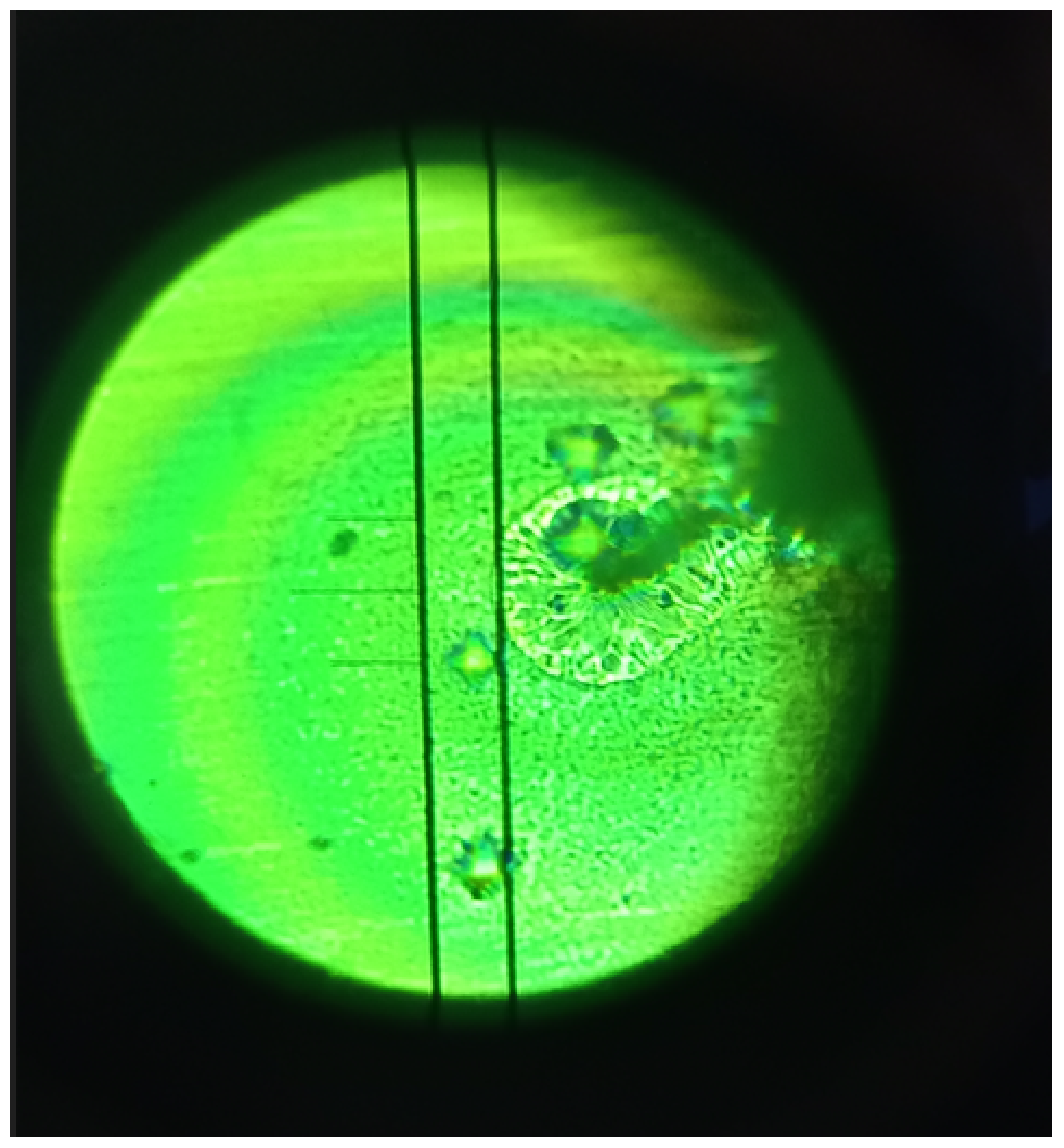 Metals 13 01875 g018