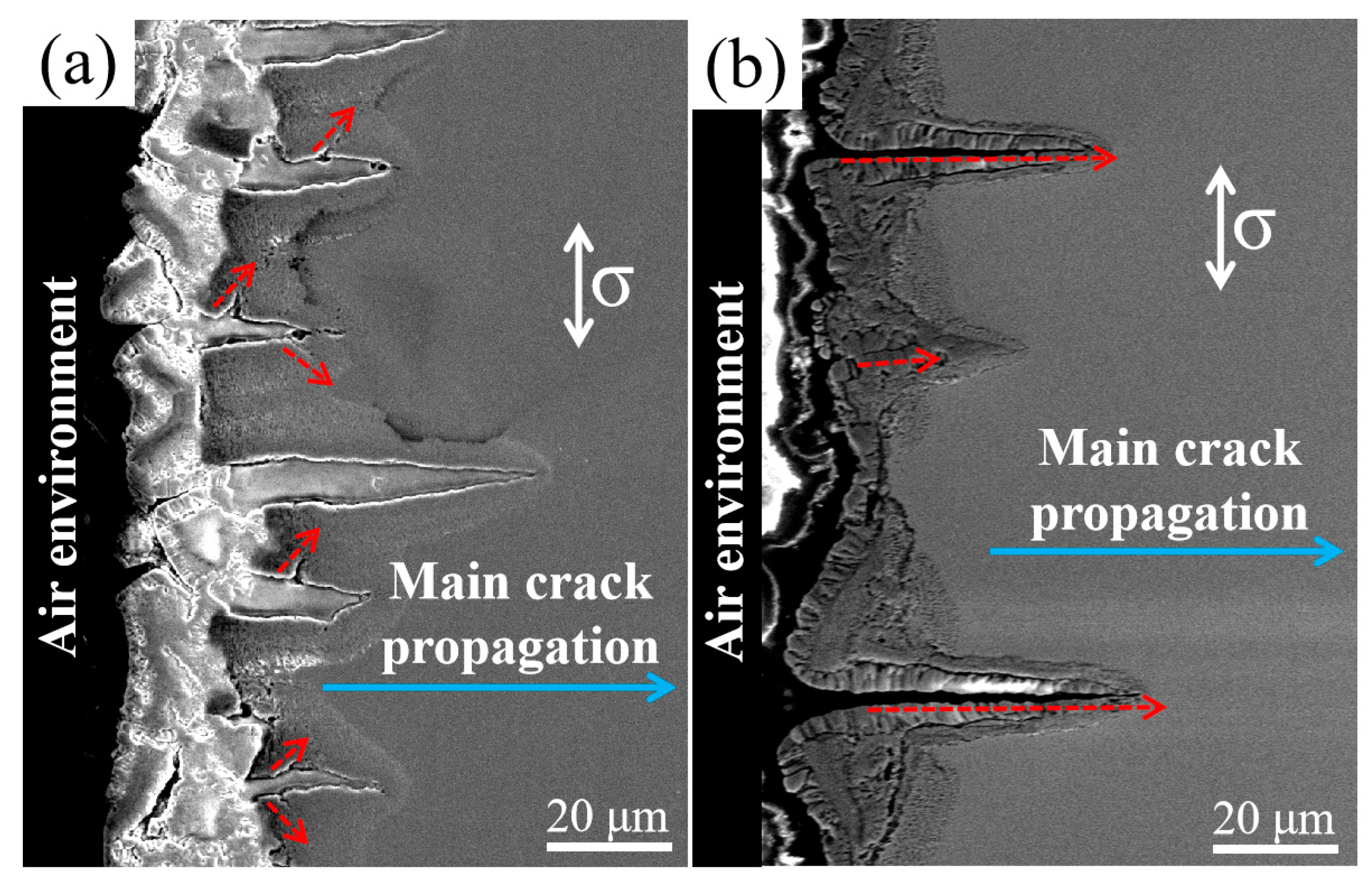 Metals 13 01878 g003