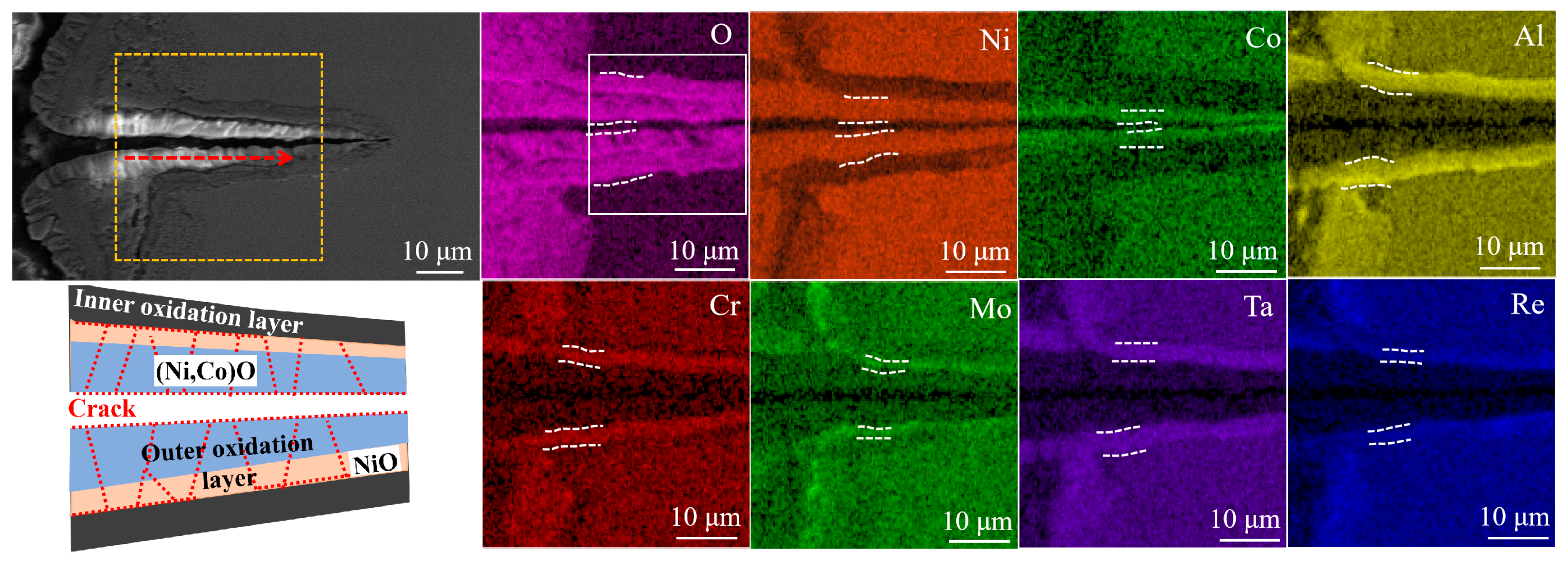 Metals 13 01878 g008