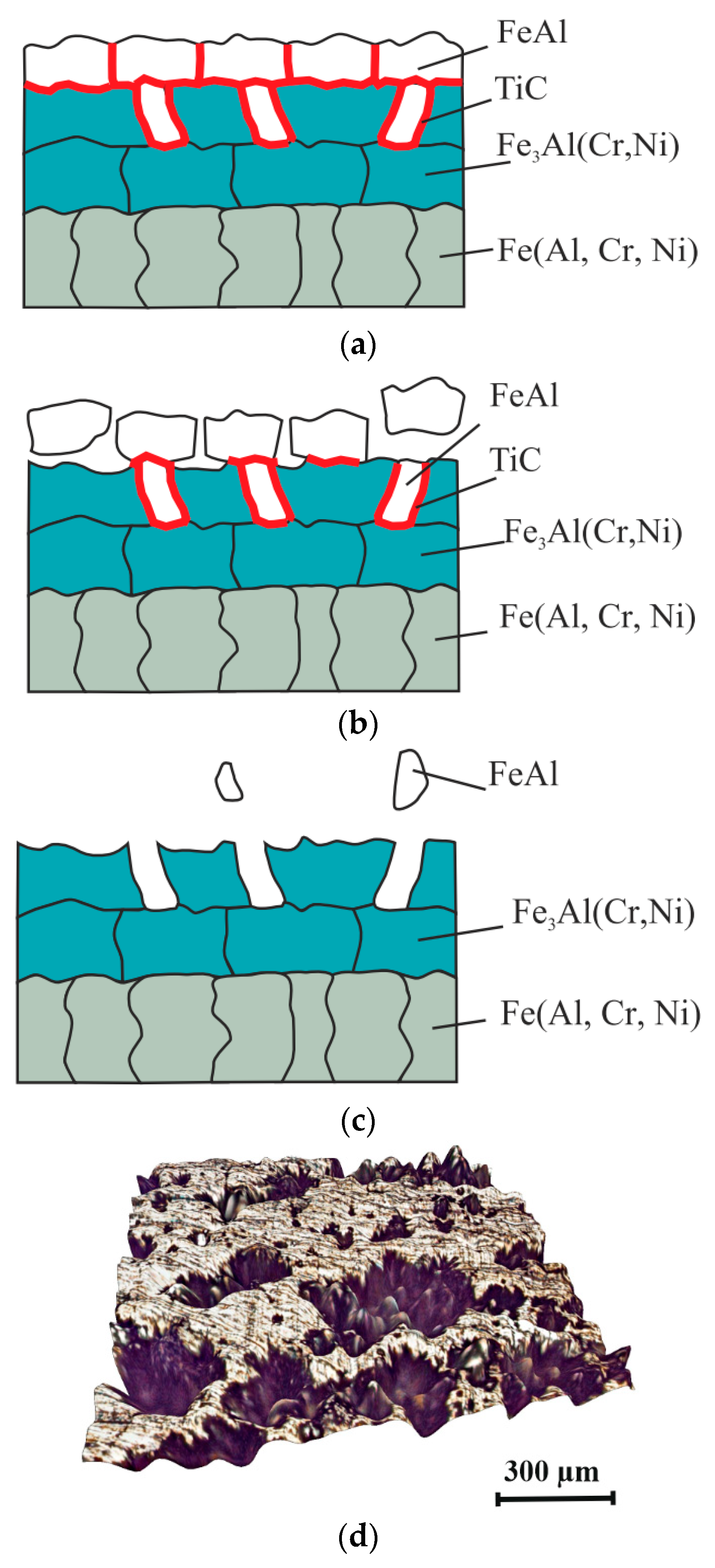 Metals 13 01883 g008